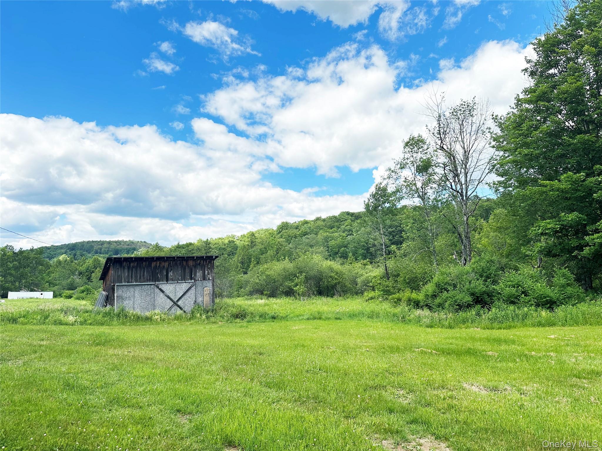 Single Family Methol Road  Delaware County, NY 12776, MLS-1017410-16