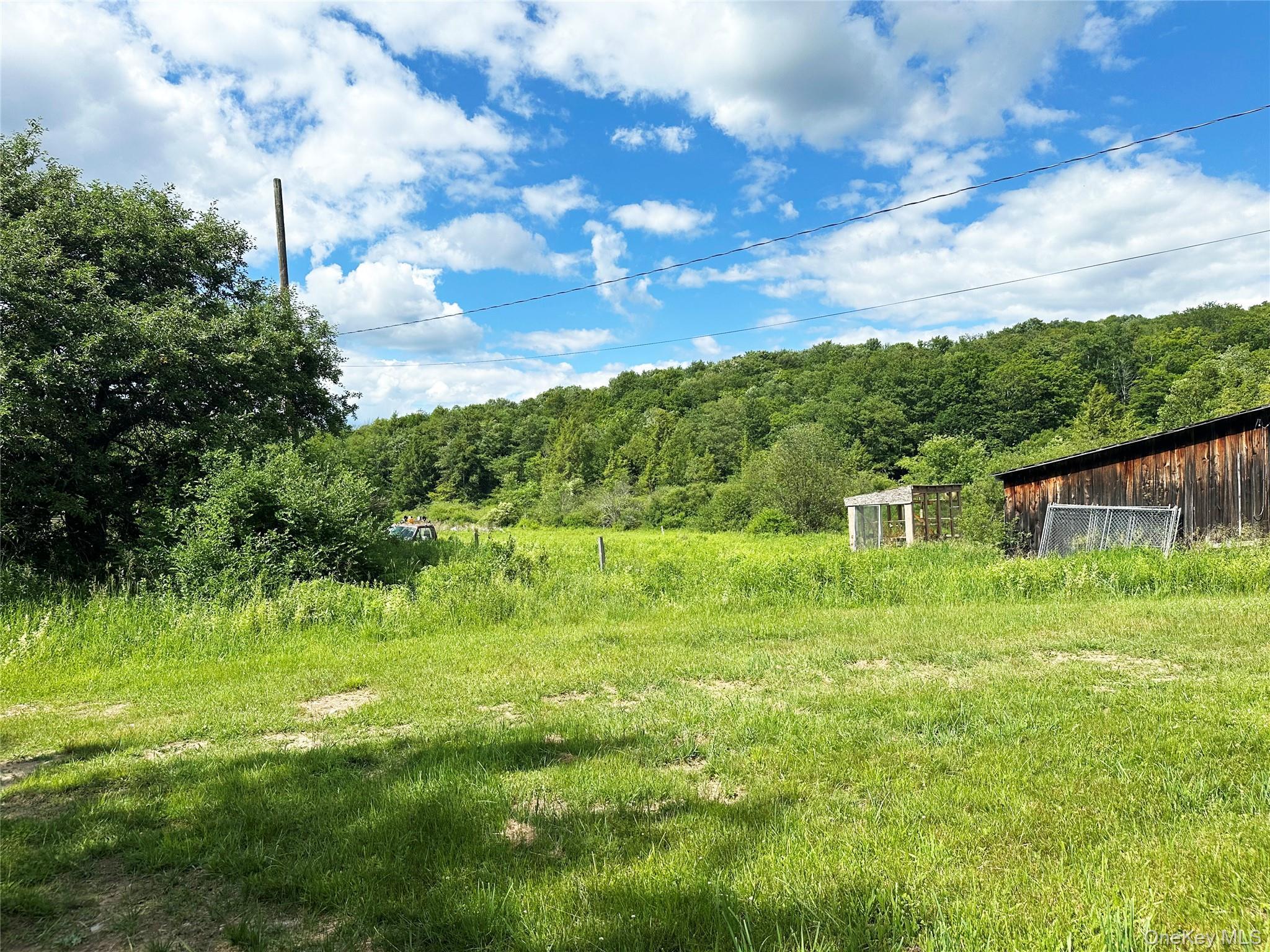 Single Family Methol Road  Delaware County, NY 12776, MLS-1017410-17