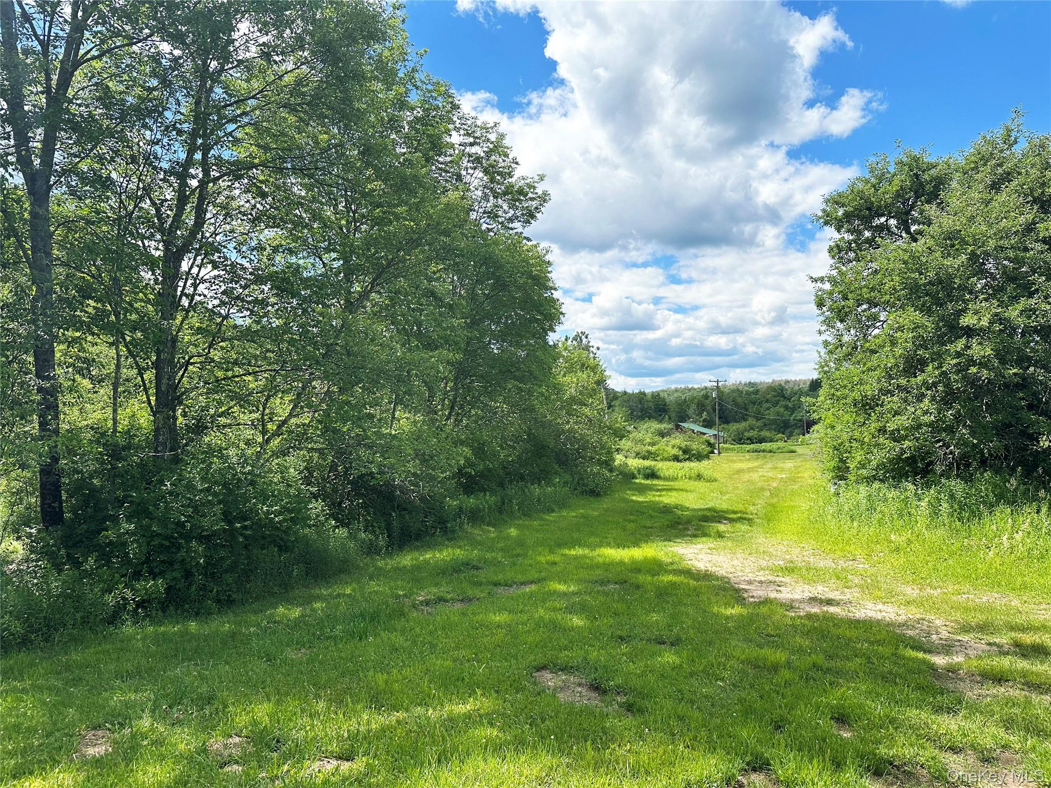 Single Family Methol Road  Delaware County, NY 12776, MLS-1017410-18
