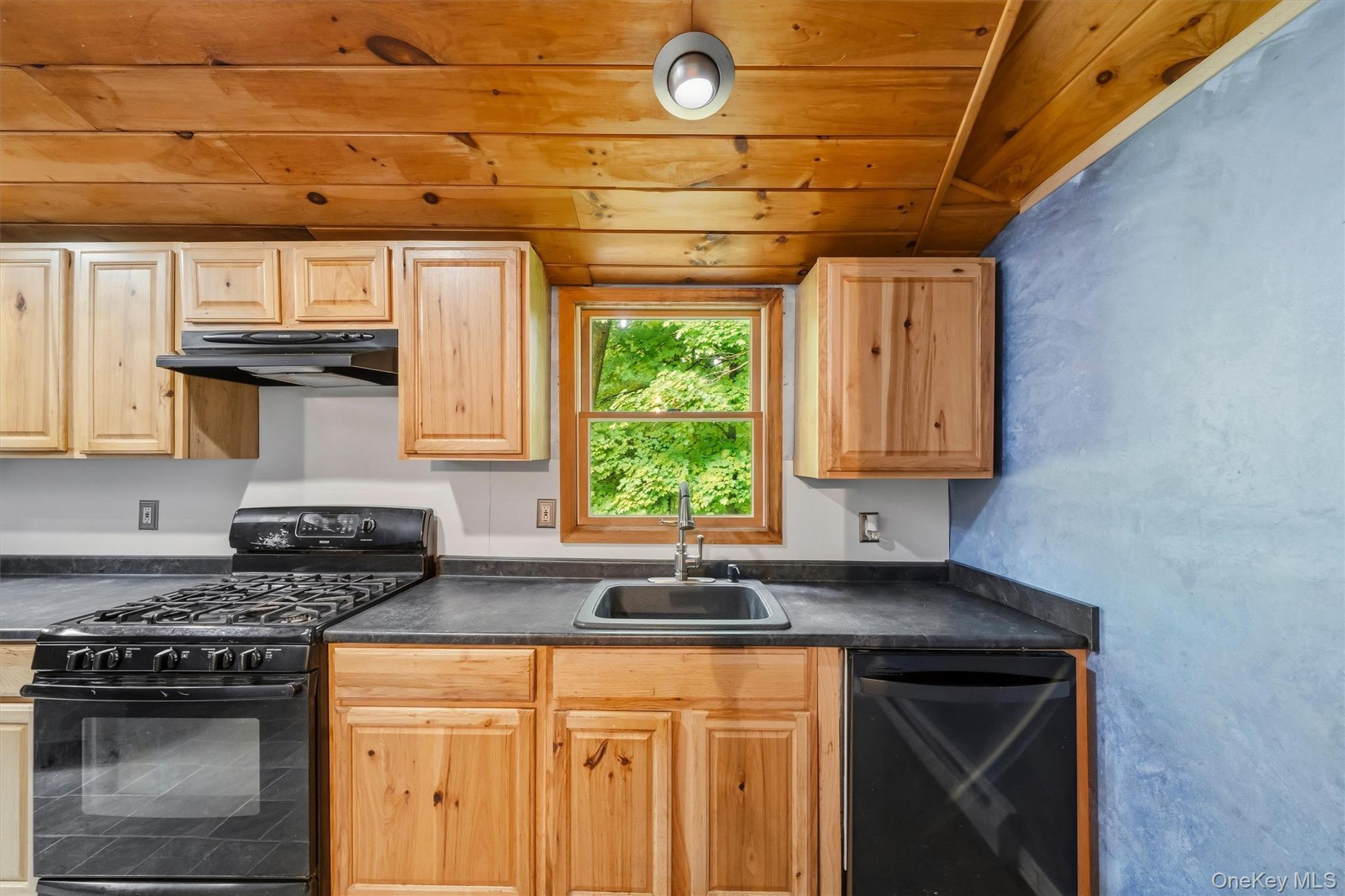 Single Family Old Dutch Hollow Road  Orange County, NY 10950, MLS-1017442-11