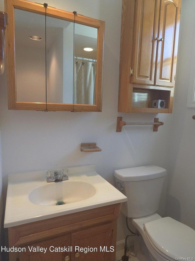 Single Family Lucas Avenue Extension Ulster County, NY 12443, MLS-1017482-11