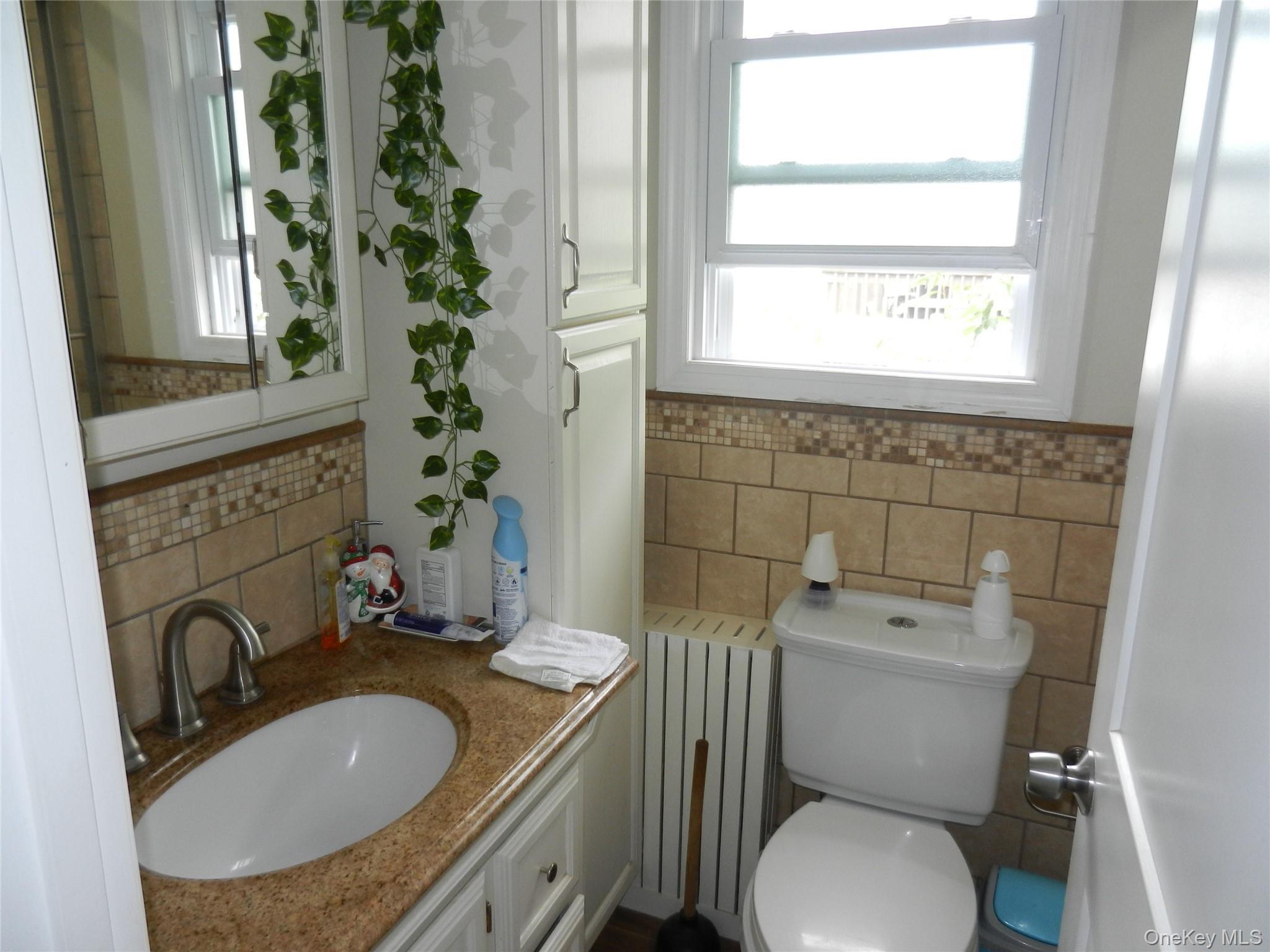 Single Family Avondale Street  Nassau County, NY 11581, MLS-1017485-12
