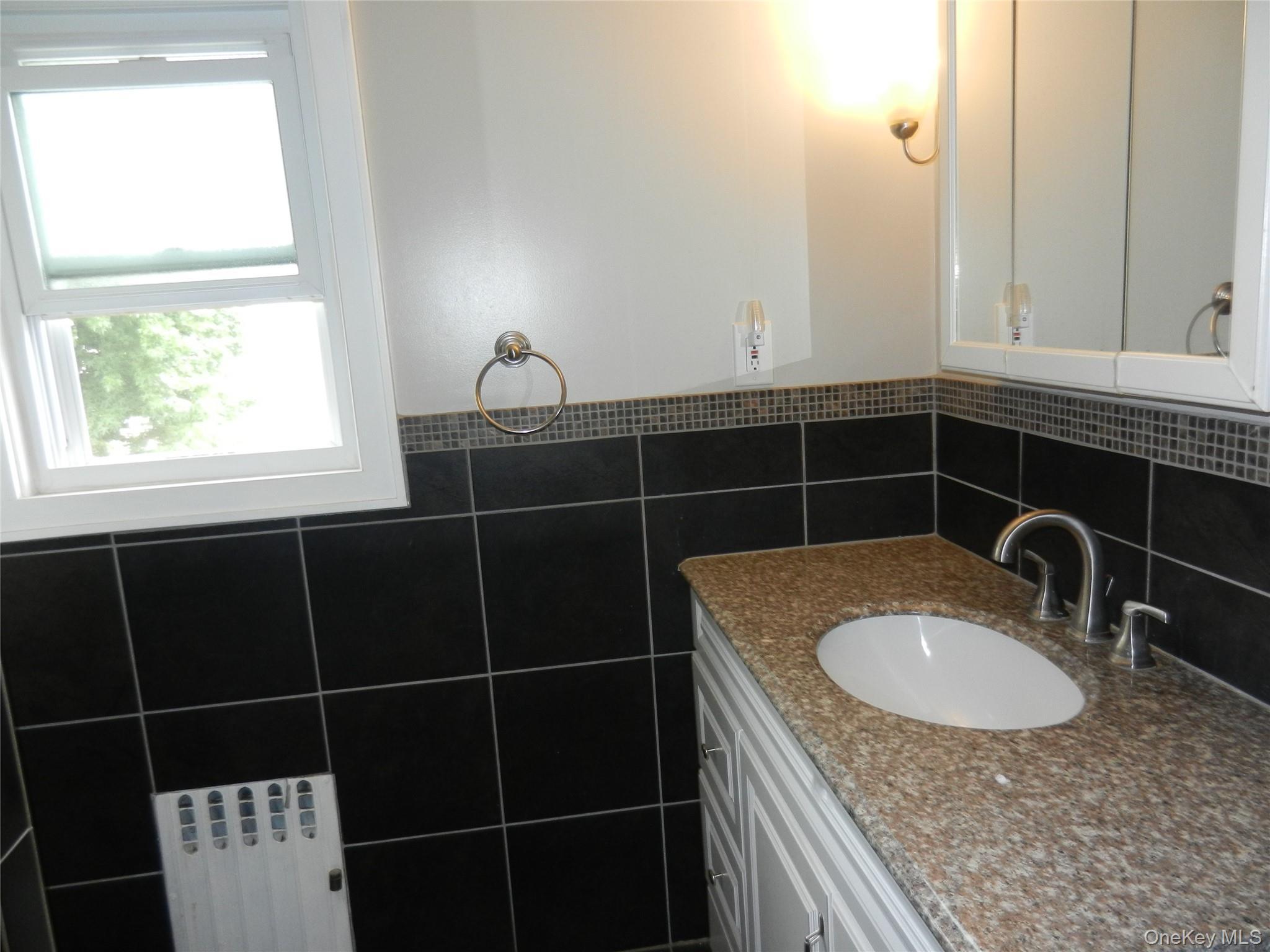 Single Family Avondale Street  Nassau County, NY 11581, MLS-1017485-14