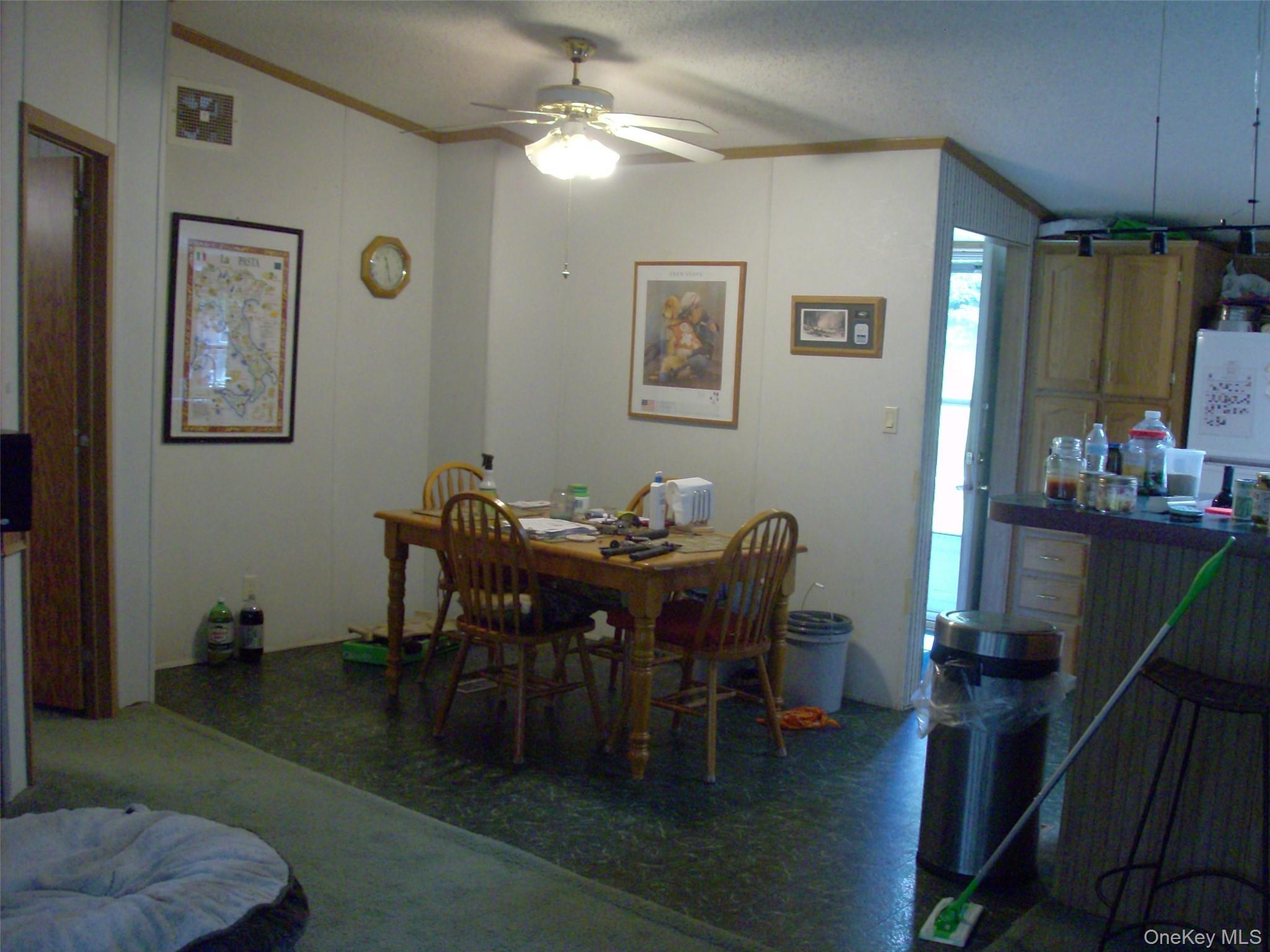 Single Family Bonnie Brook Road Delaware County, NY 12776, MLS-1017500-20