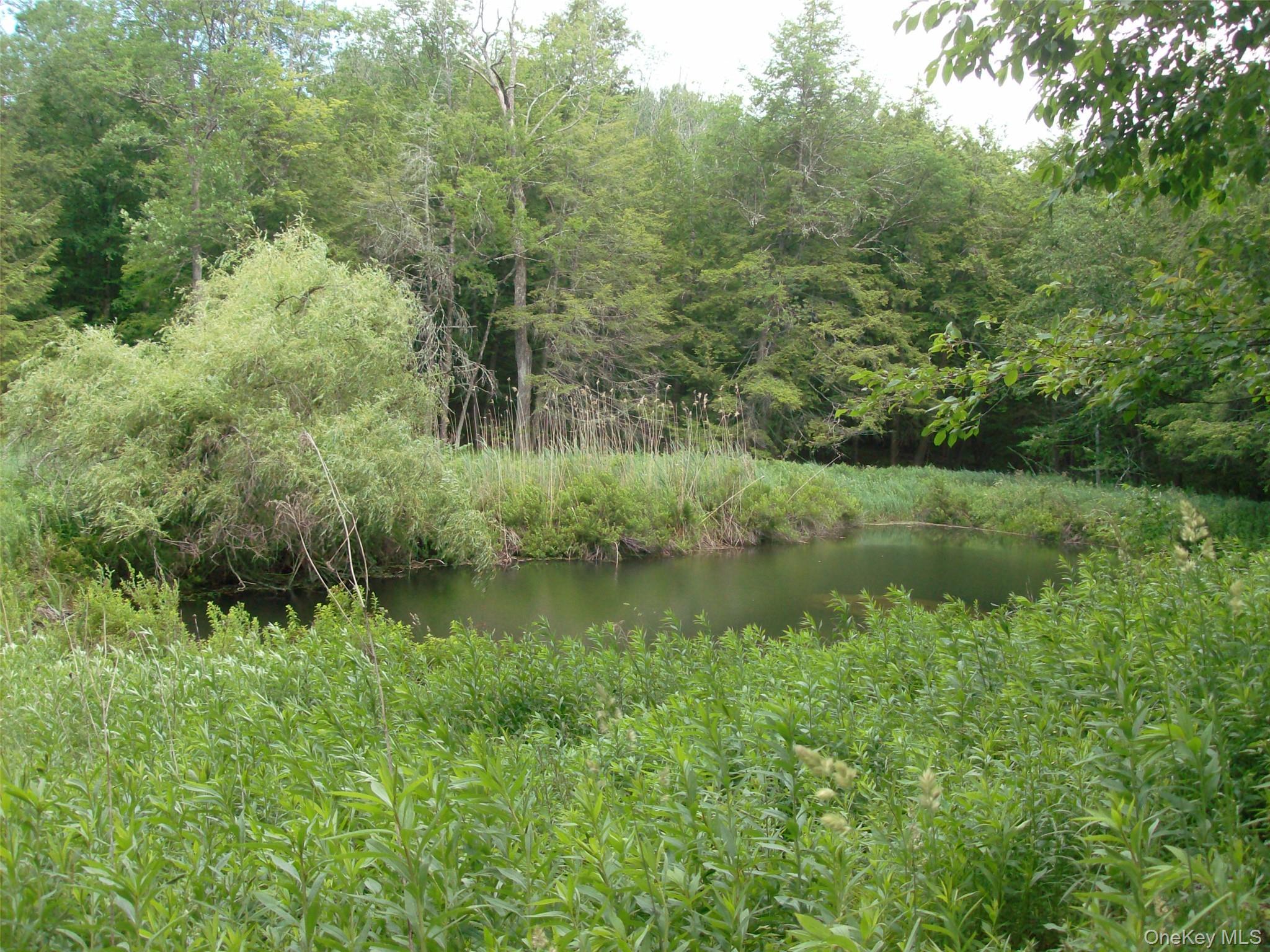Single Family Bonnie Brook Road Delaware County, NY 12776, MLS-1017500-27