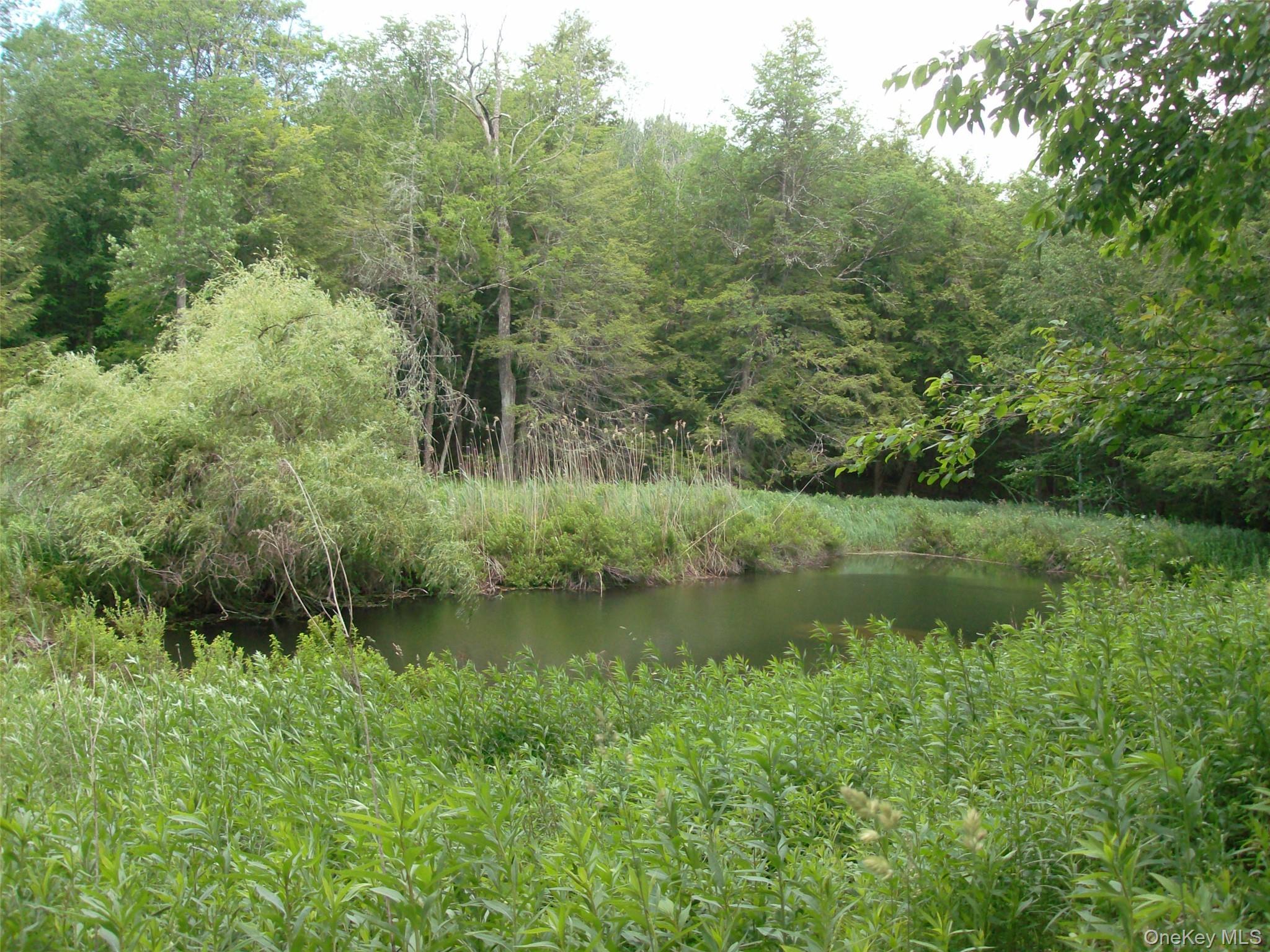 Single Family Bonnie Brook Road Delaware County, NY 12776, MLS-1017500-28