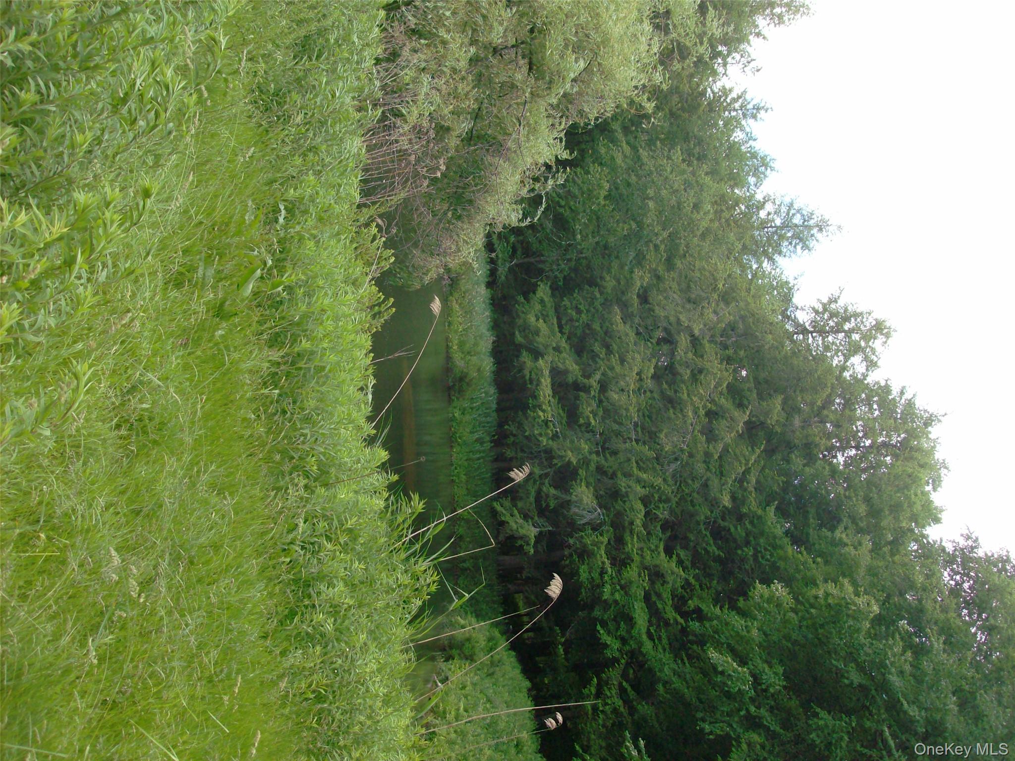 Single Family Bonnie Brook Road Delaware County, NY 12776, MLS-1017500-29