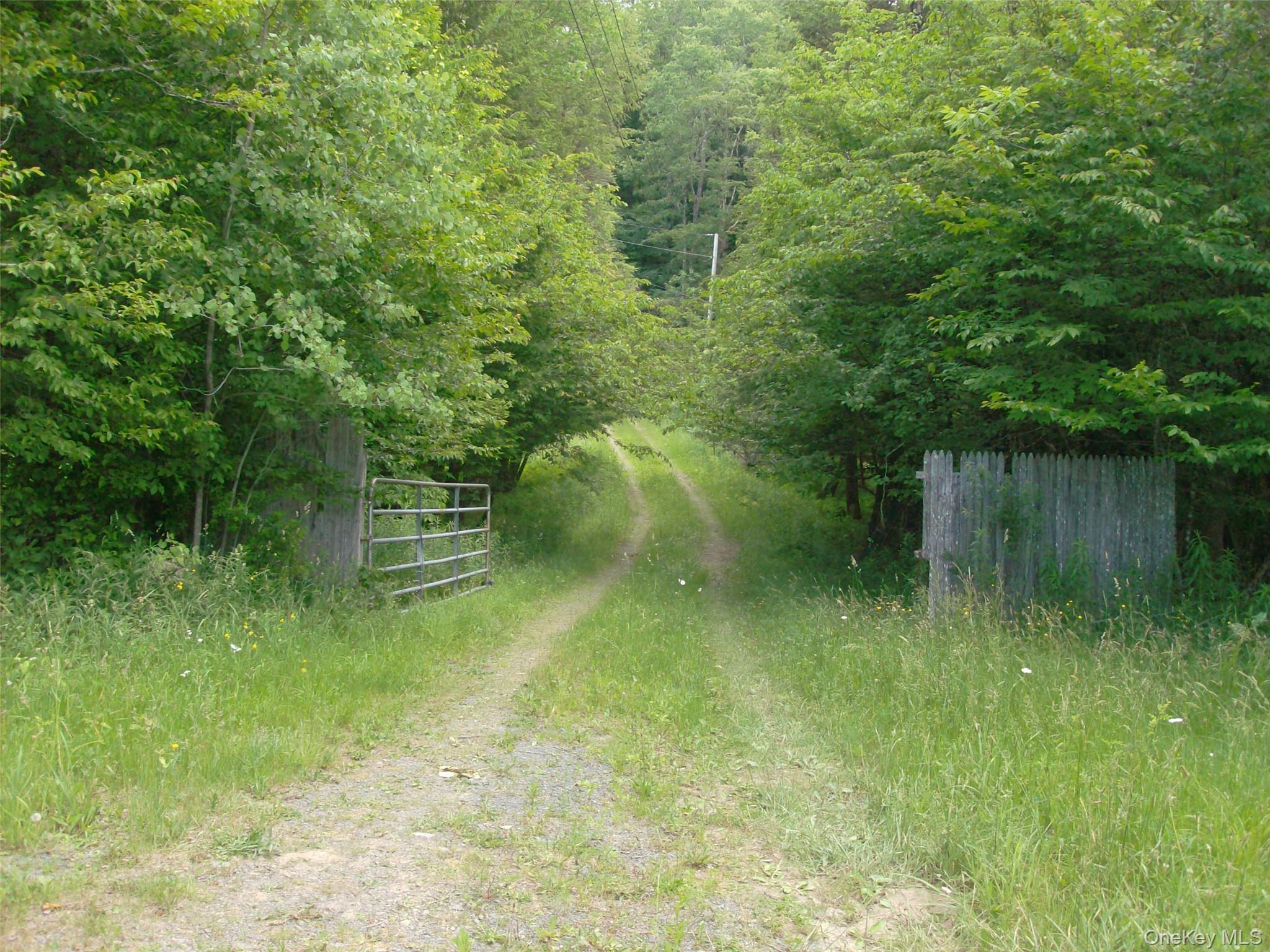 Single Family Bonnie Brook Road Delaware County, NY 12776, MLS-1017500-32