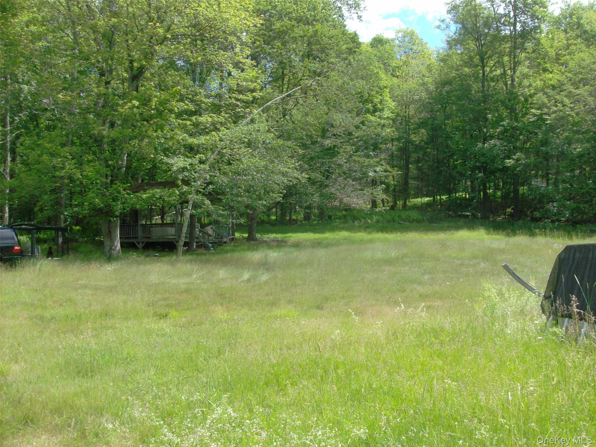 Single Family Bonnie Brook Road Delaware County, NY 12776, MLS-1017500-34
