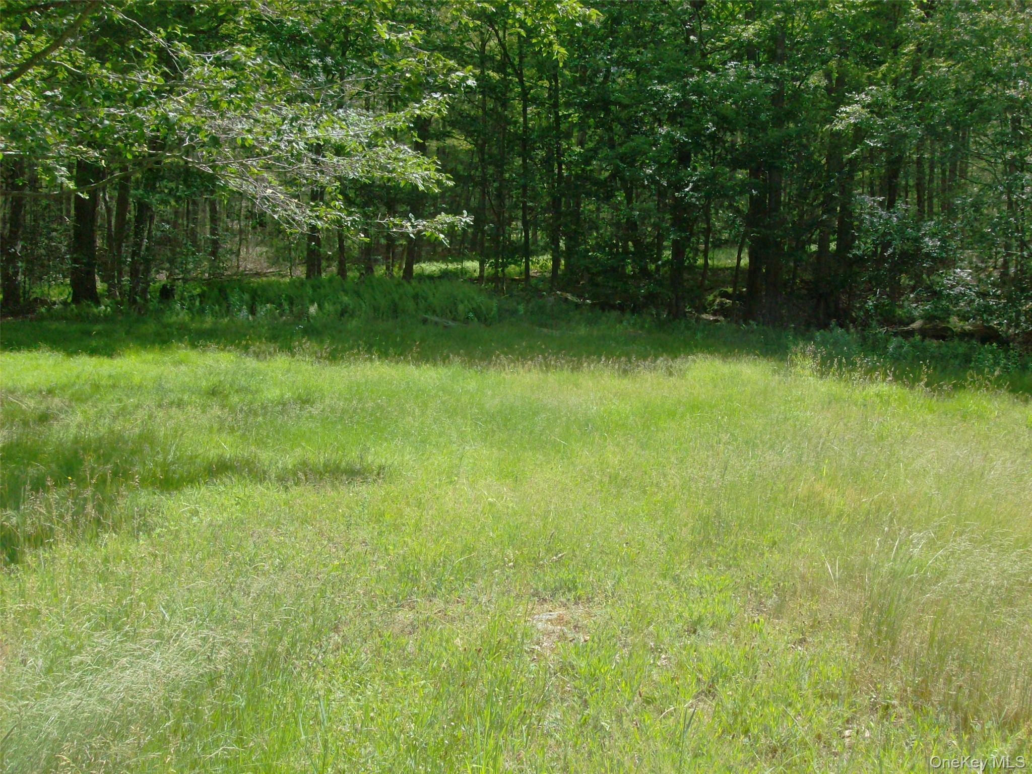 Single Family Bonnie Brook Road Delaware County, NY 12776, MLS-1017500-38