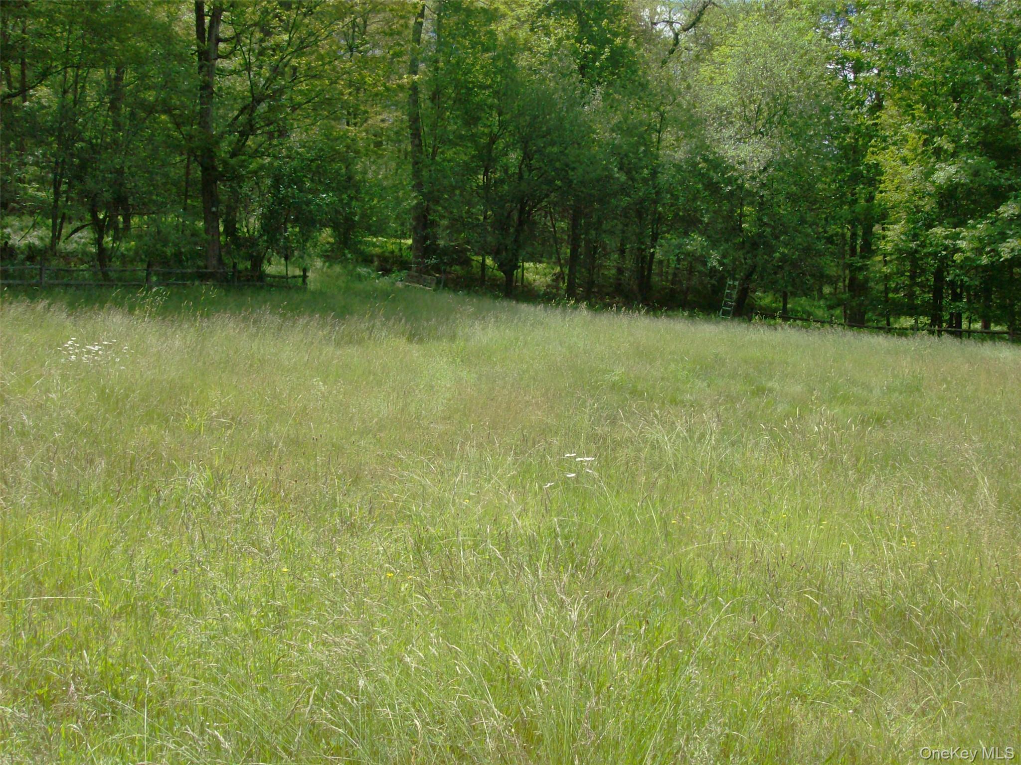 Single Family Bonnie Brook Road Delaware County, NY 12776, MLS-1017500-39