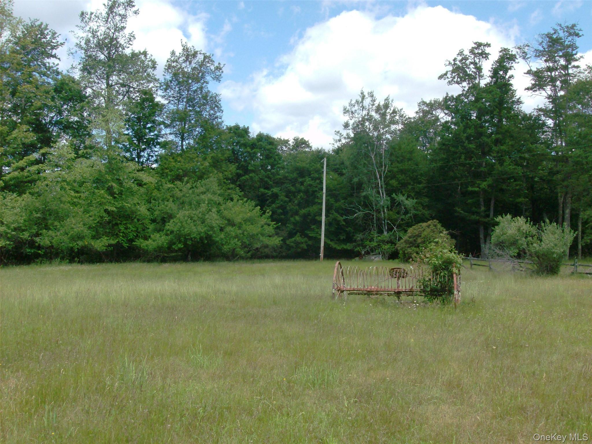 Single Family Bonnie Brook Road Delaware County, NY 12776, MLS-1017500-42