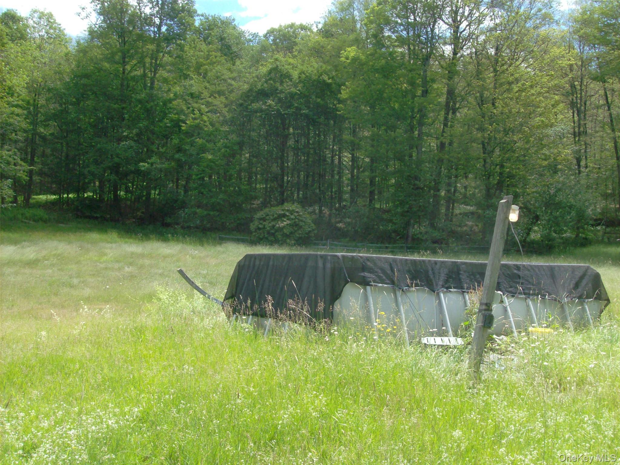 Single Family Bonnie Brook Road Delaware County, NY 12776, MLS-1017500-9