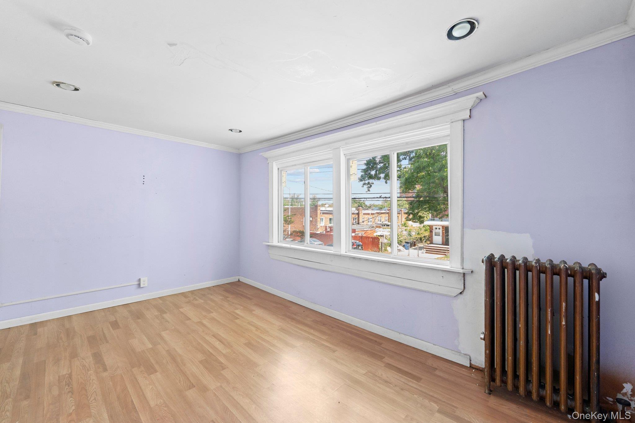 Single Family 169th Street Queens, NY 11434, MLS-1017568-11