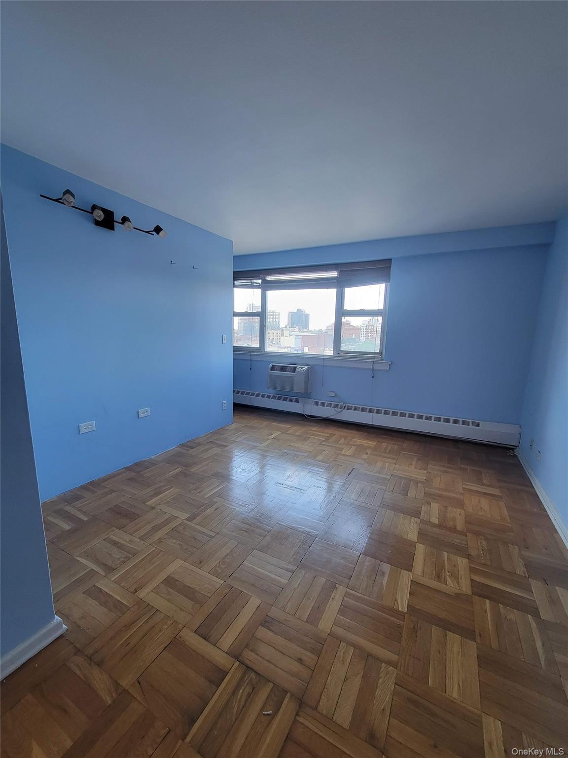 Coop 170 Street  Queens, NY 11432, MLS-1017575-9
