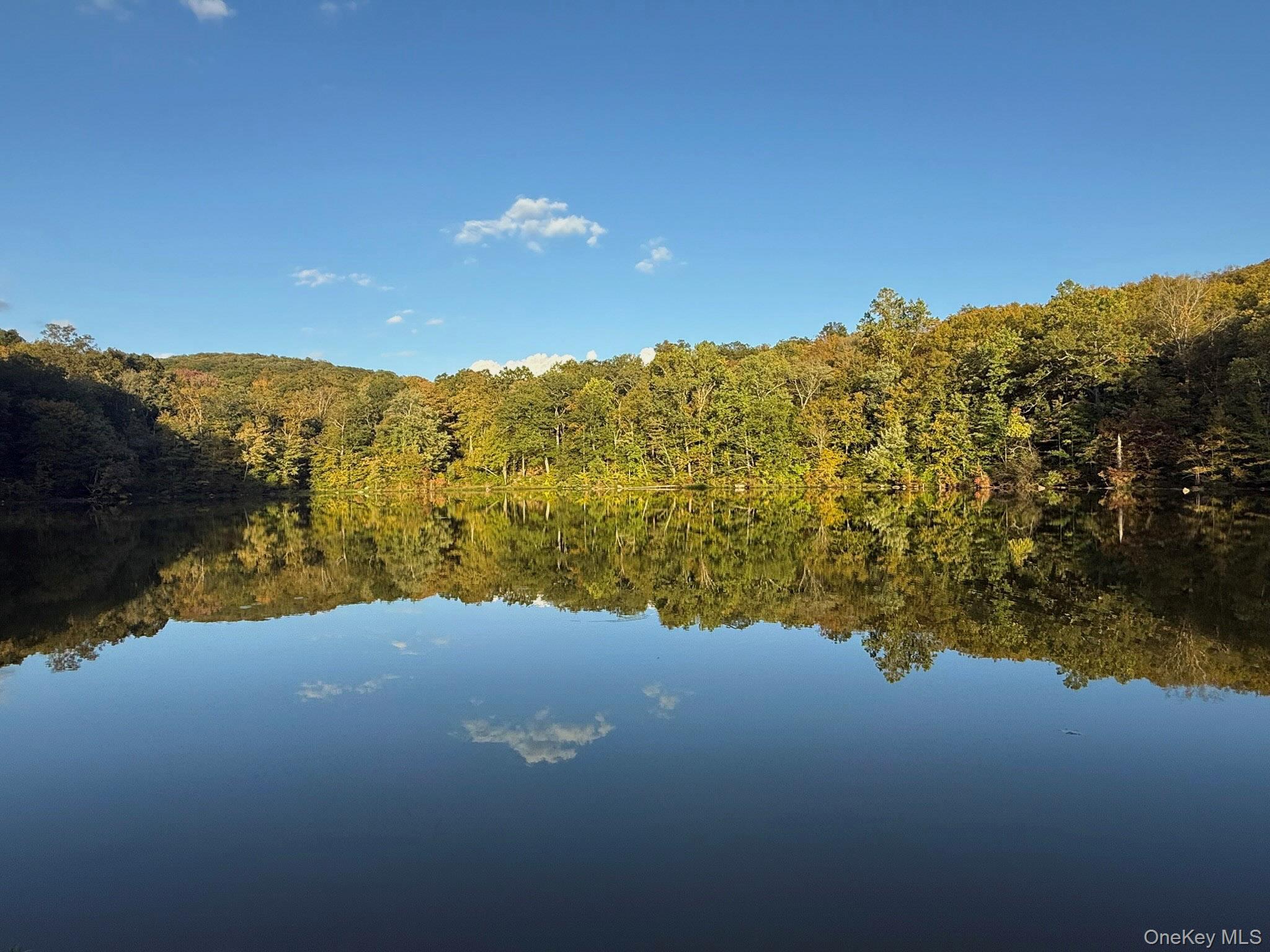 Single Family Dean Road  Putnam County, NY 12582, MLS-1017601-45