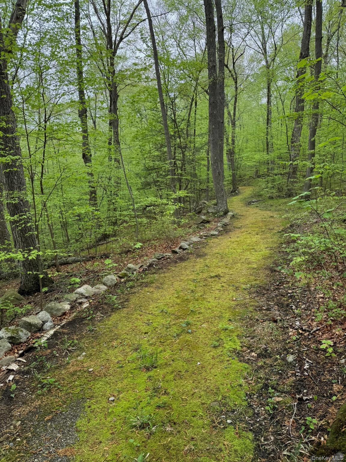 Single Family Dean Road  Putnam County, NY 12582, MLS-1017601-47