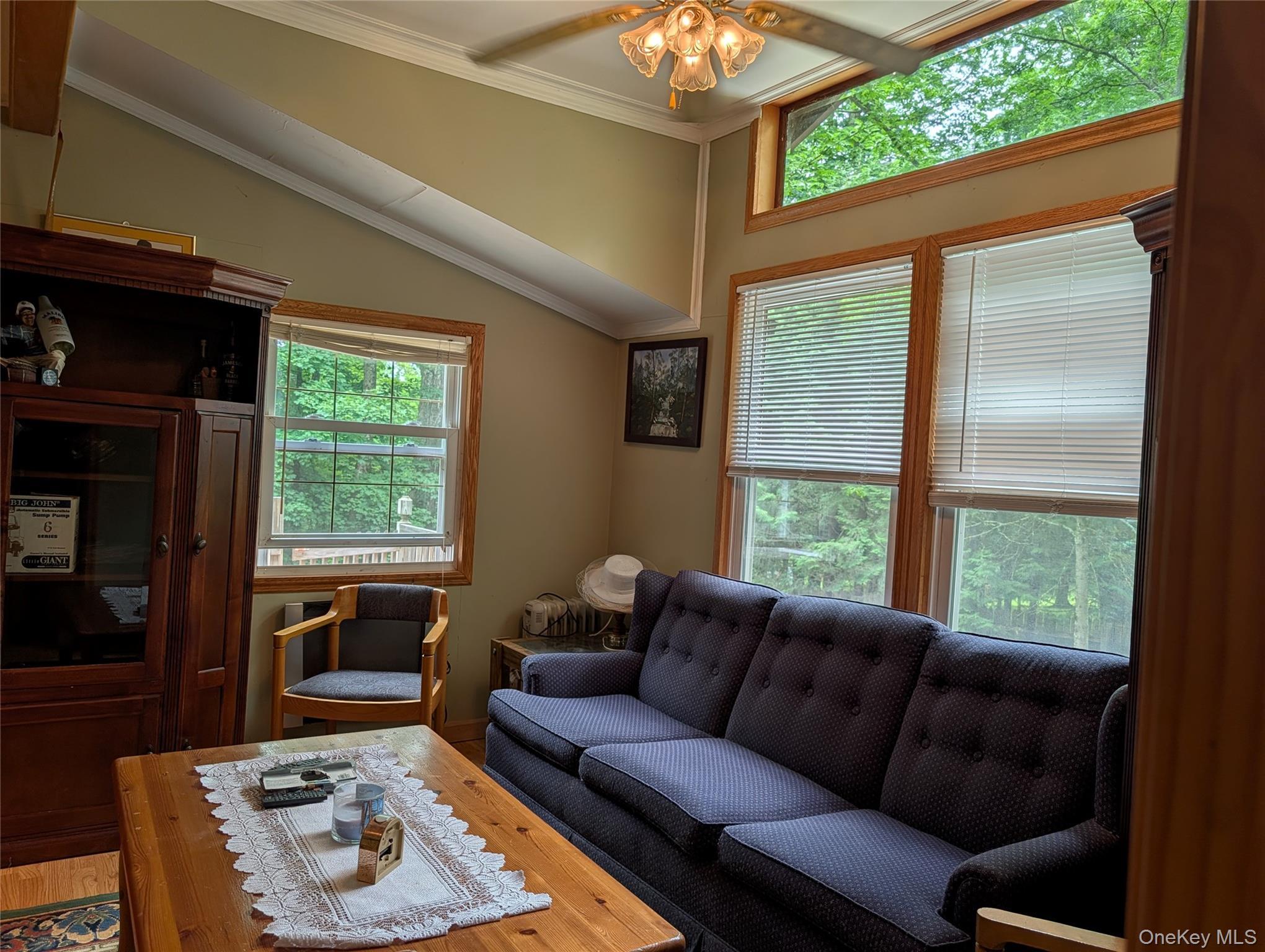 Single Family E Reindeer Trail Sullivan County, NY 12720, MLS-1017632-13