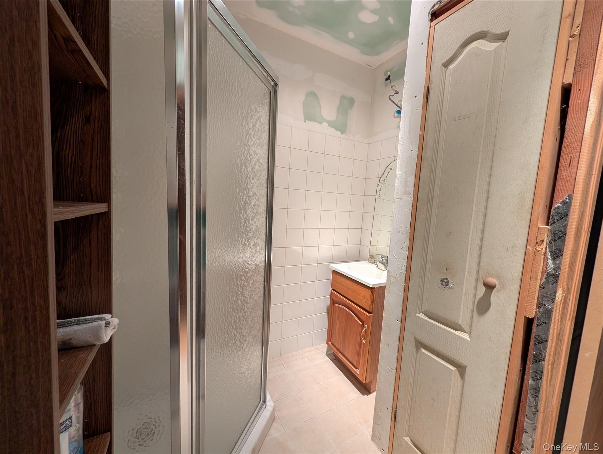 Single Family E Reindeer Trail Sullivan County, NY 12720, MLS-1017632-17
