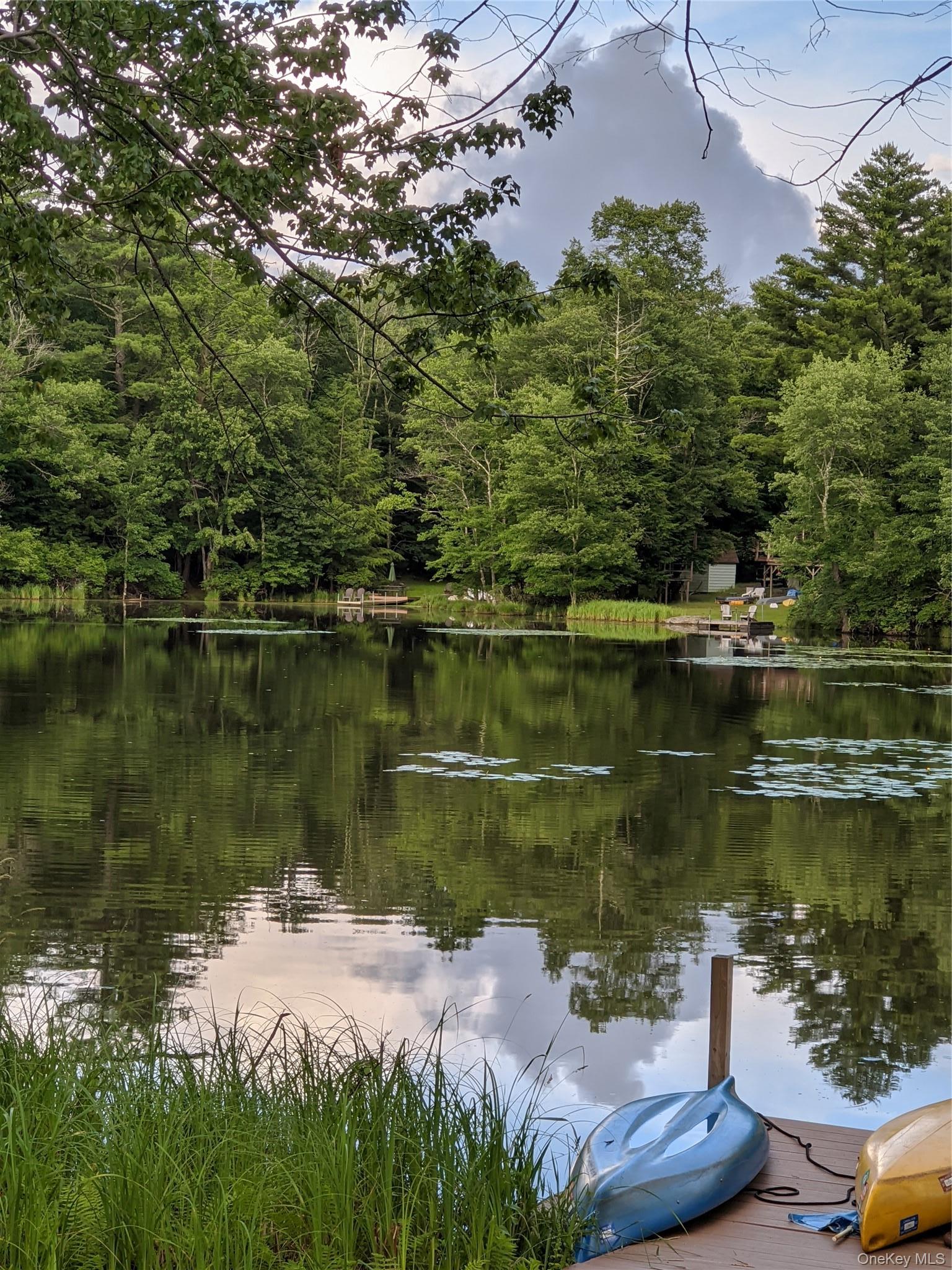 Single Family E Reindeer Trail Sullivan County, NY 12720, MLS-1017632-26