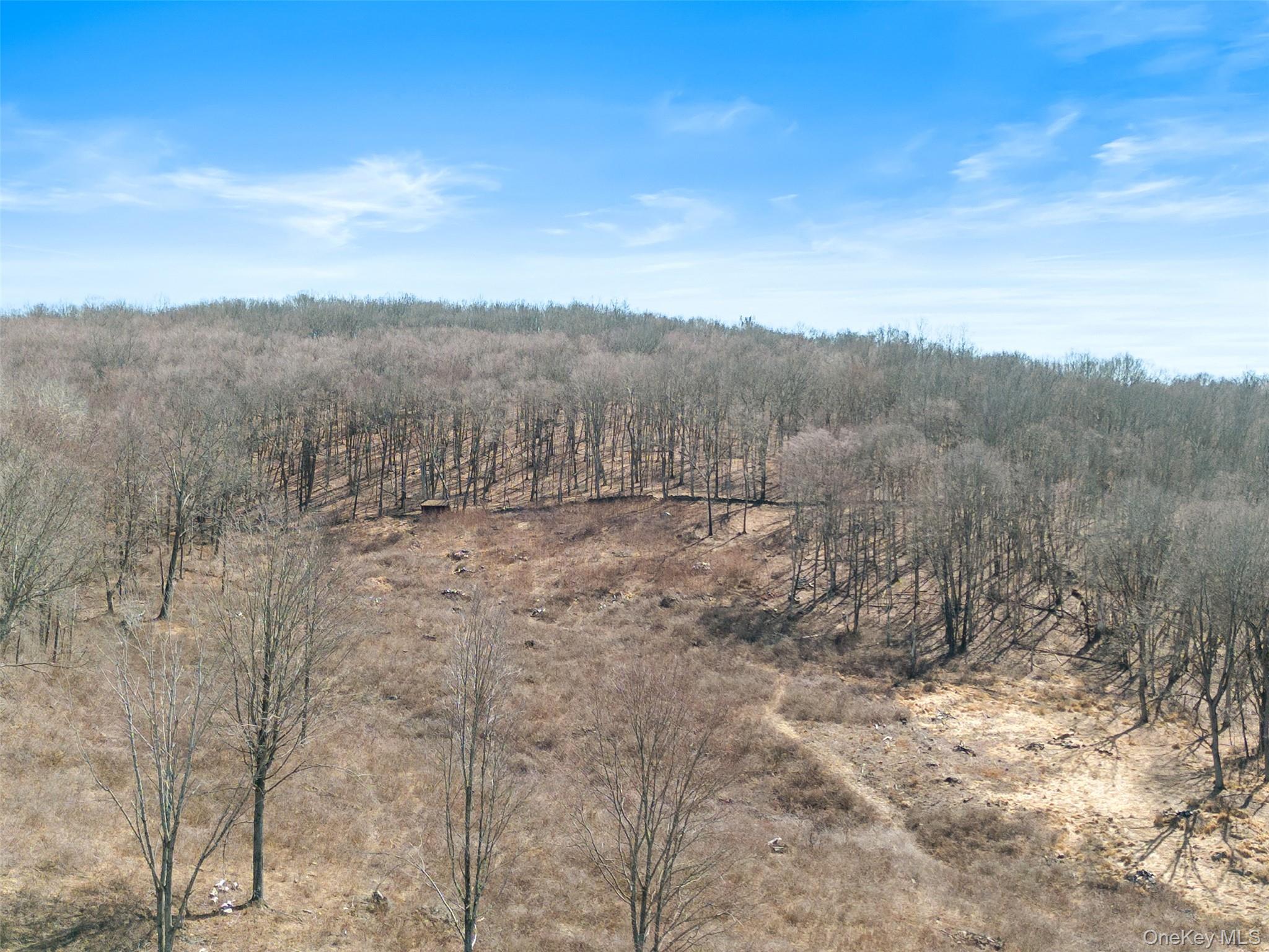Single Family Barmore Road  Dutchess County, NY 12540, MLS-1017699-47