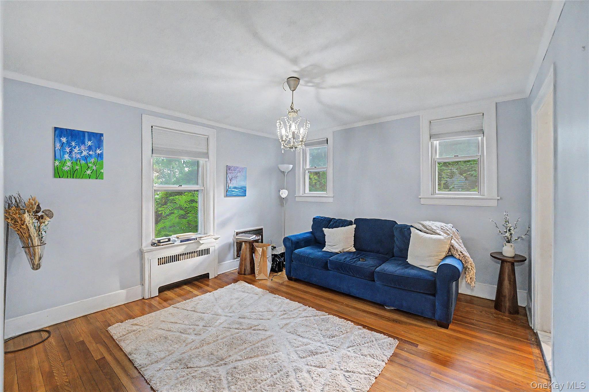 Single Family Susquehanna Avenue  Nassau County, NY 11021, MLS-1017728-11