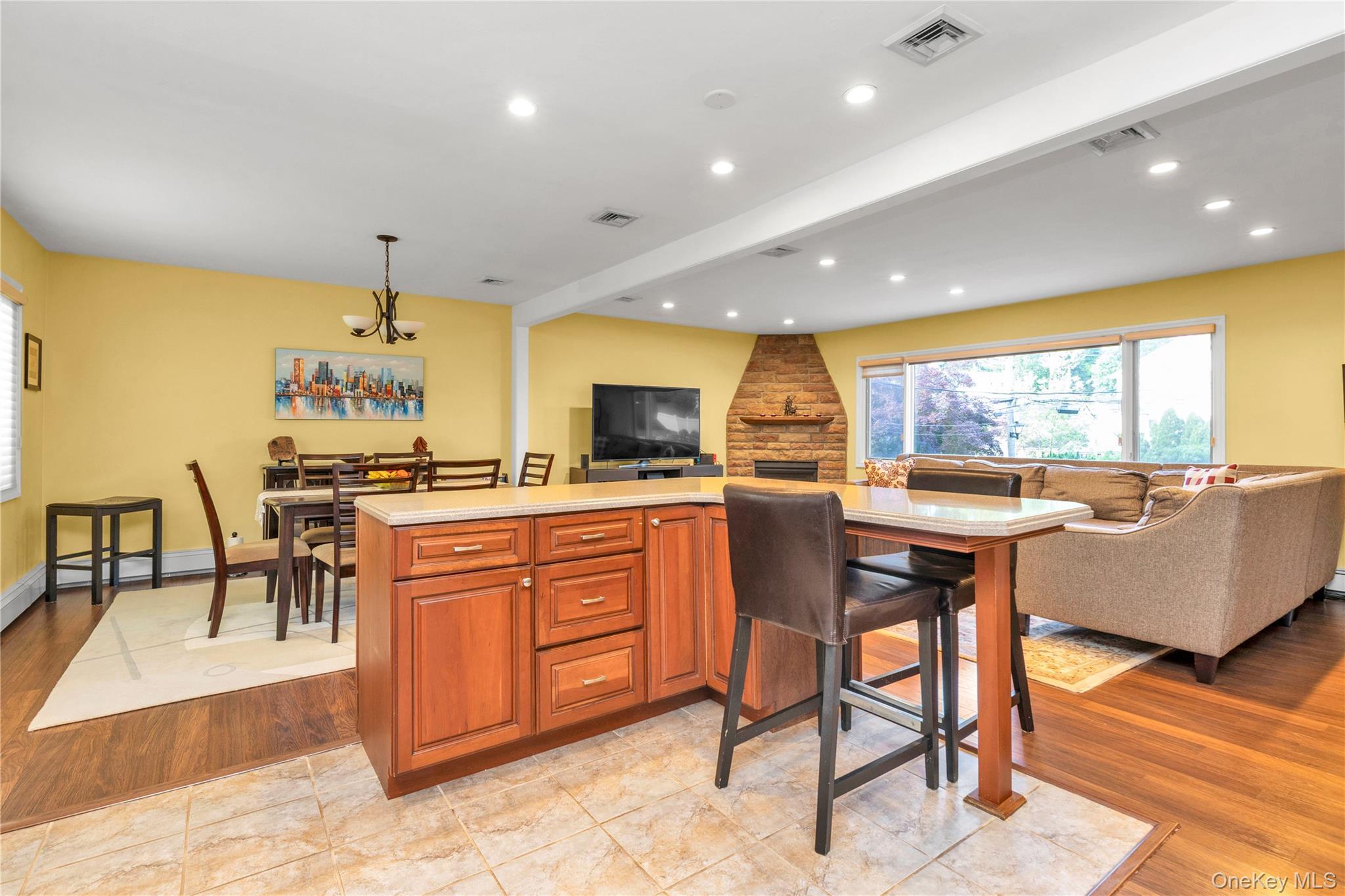 Single Family Virginia Drive  Nassau County, NY 11030, MLS-1017779-10