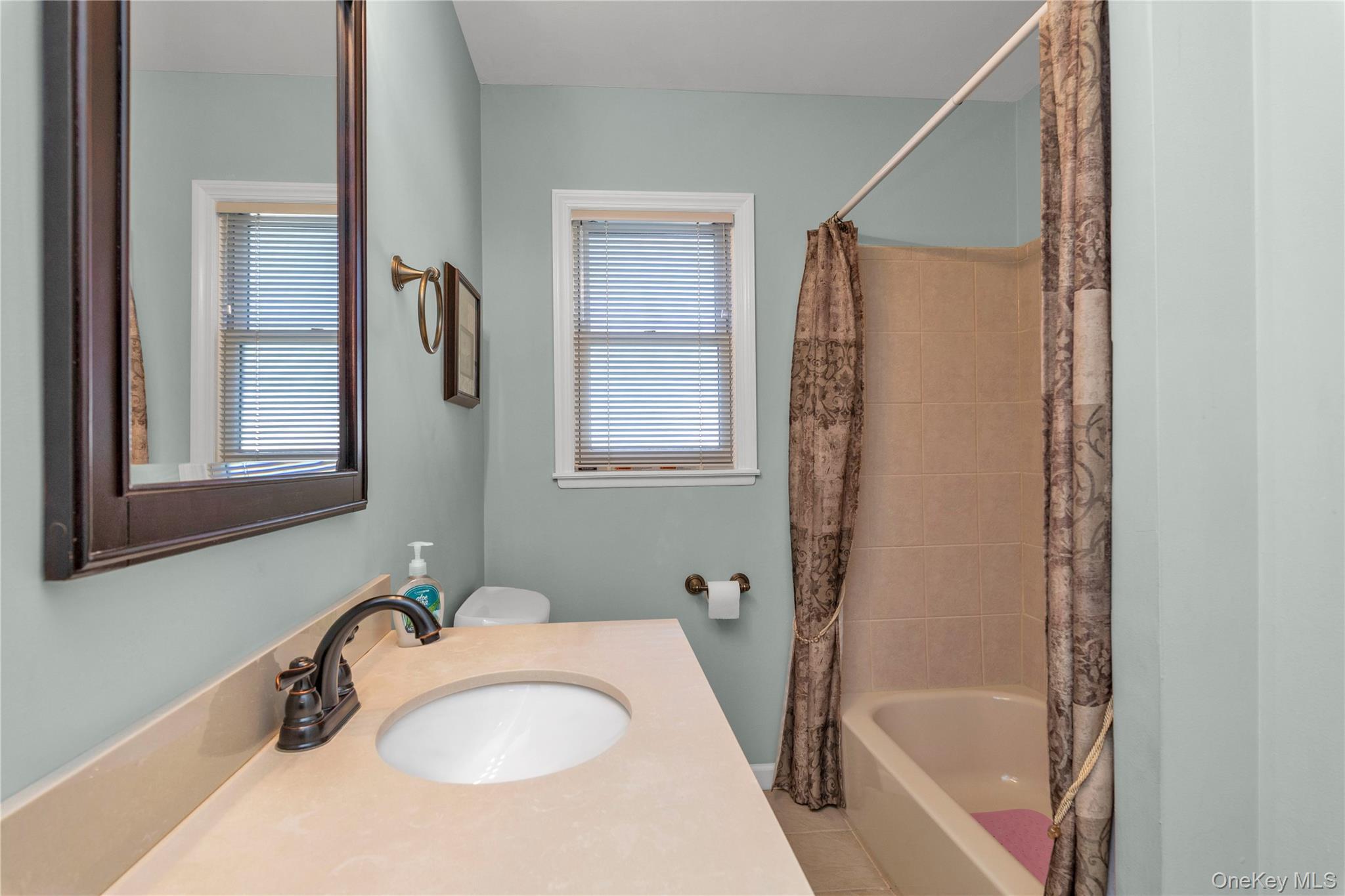 Single Family Virginia Drive  Nassau County, NY 11030, MLS-1017779-17