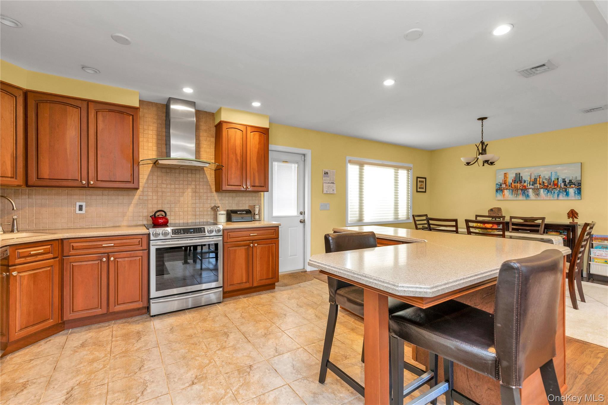 Single Family Virginia Drive  Nassau County, NY 11030, MLS-1017779-7