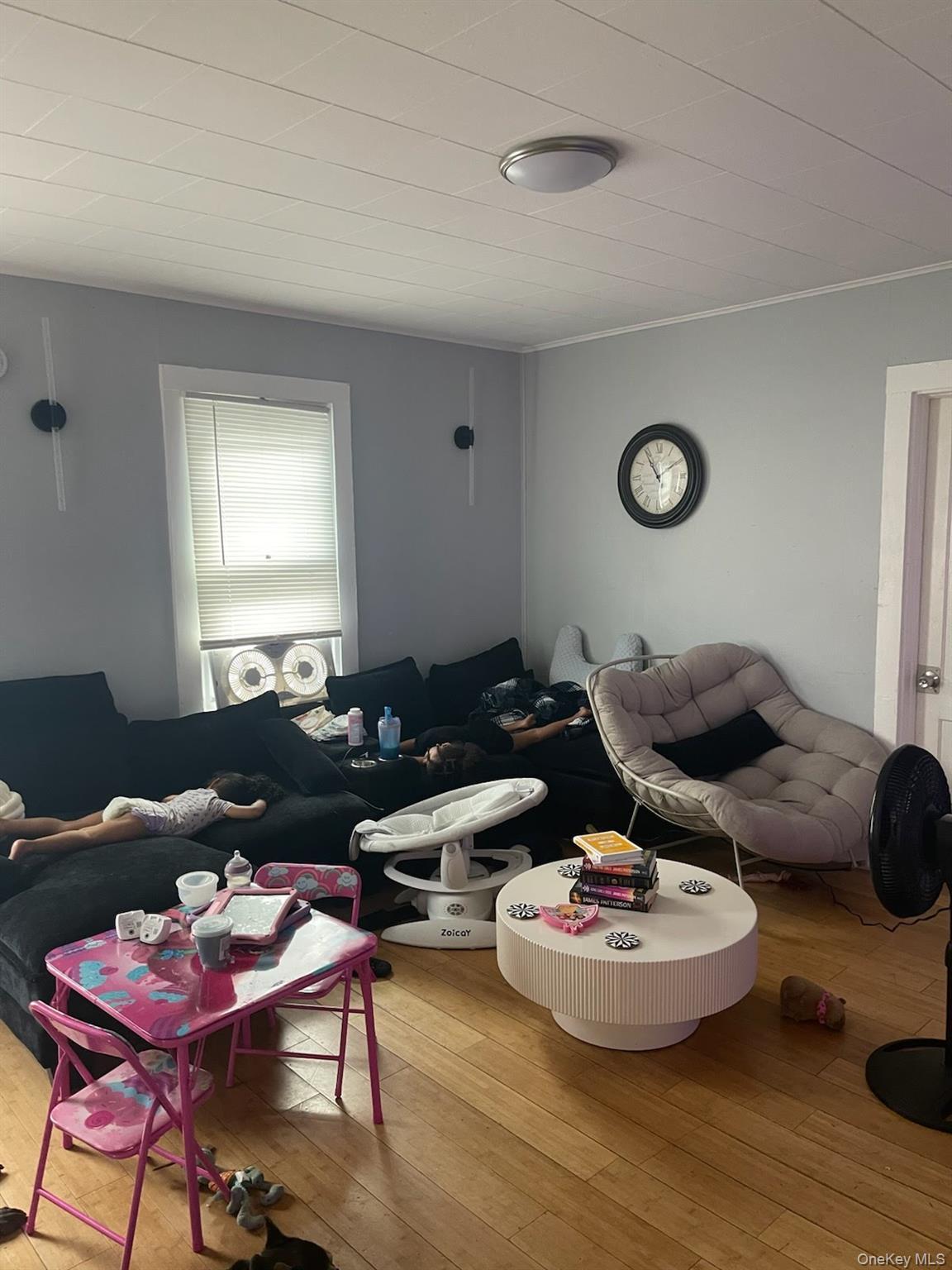 Single Family Park Street Ulster County, NY 12428, MLS-1017784-2