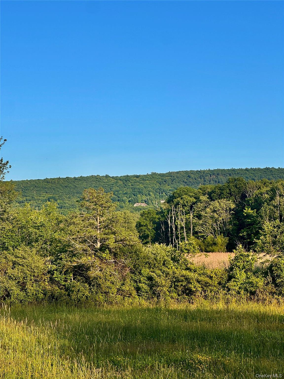 Single Family Strang Lane  Orange County, NY 10990, MLS-1017795-12