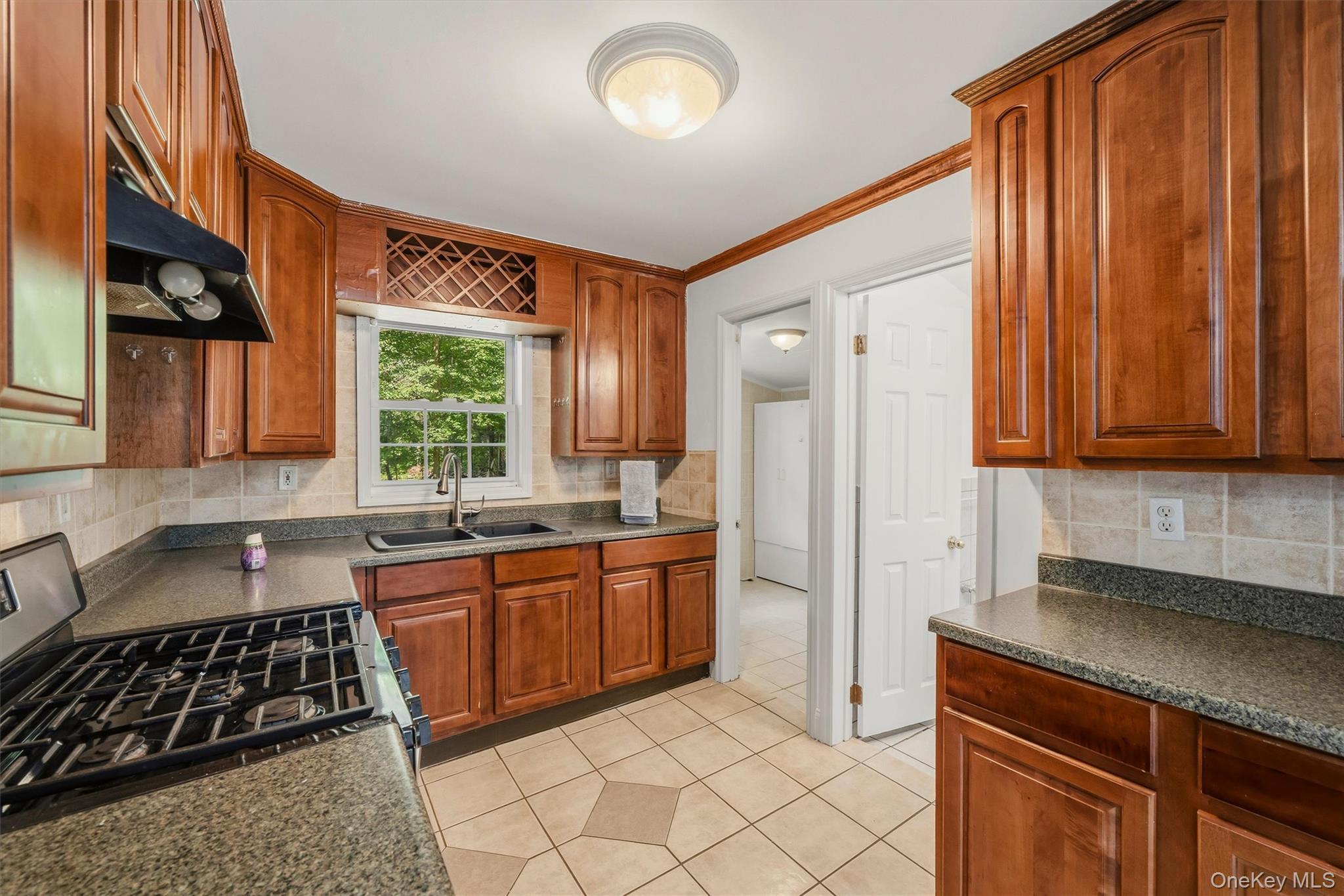 Single Family Echo Trail Orange County, NY 10950, MLS-1017854-20