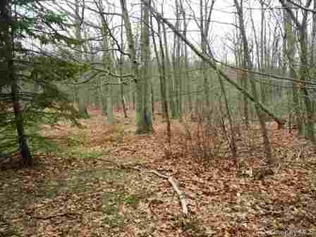 Single Family Bean River Road Dutchess County, NY 12546, MLS-1017861-21