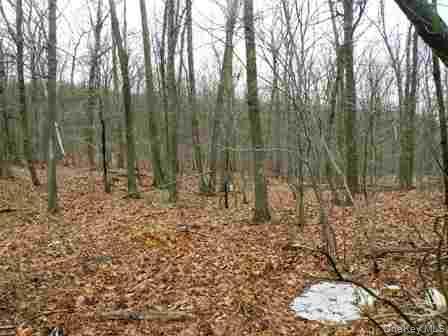 Single Family Bean River Road Dutchess County, NY 12546, MLS-1017861-22