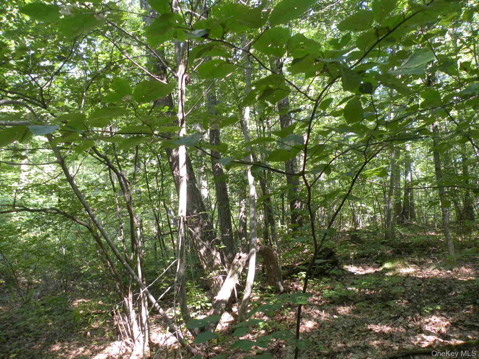 Single Family Bean River Road Dutchess County, NY 12546, MLS-1017861-23