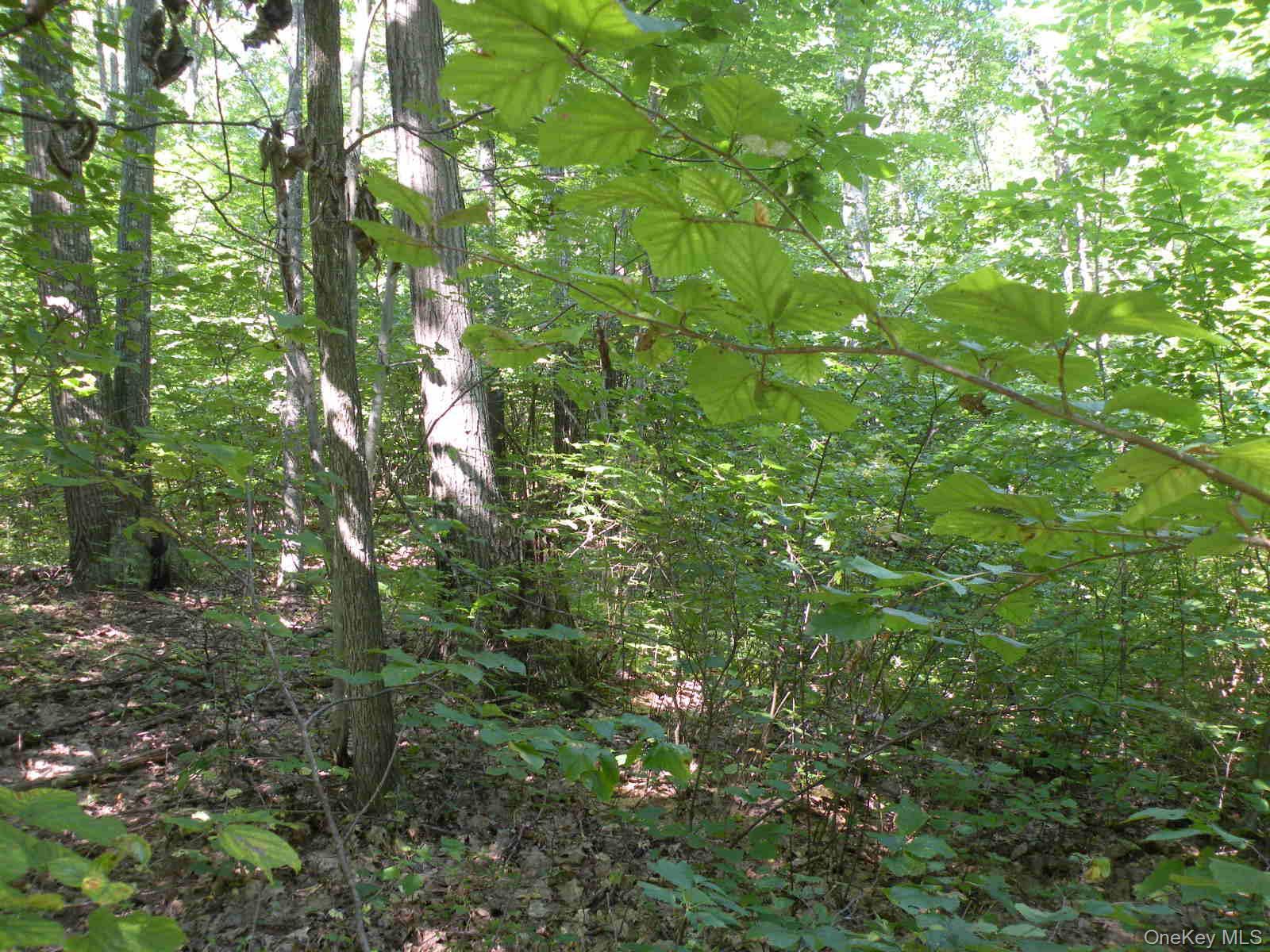 Single Family Bean River Road Dutchess County, NY 12546, MLS-1017861-24