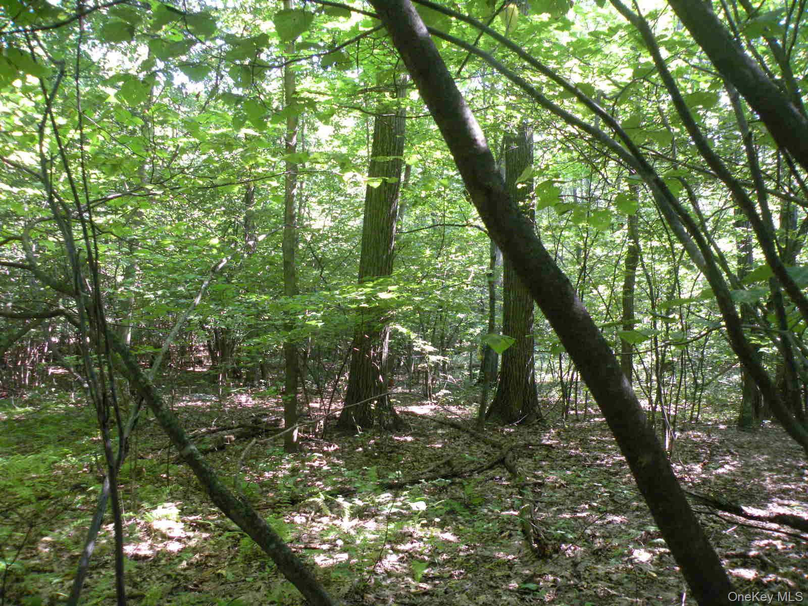 Single Family Bean River Road Dutchess County, NY 12546, MLS-1017861-25