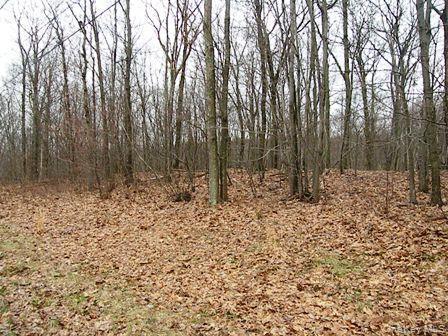 Single Family Bean River Road Dutchess County, NY 12546, MLS-1017861-26