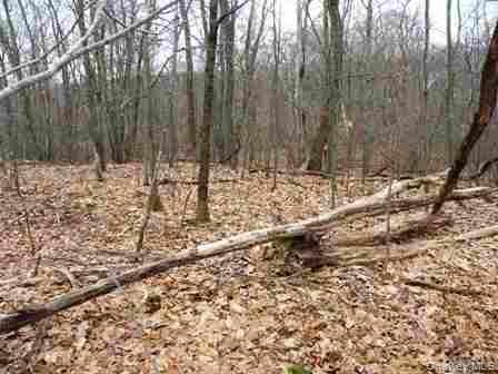 Single Family Bean River Road Dutchess County, NY 12546, MLS-1017861-27