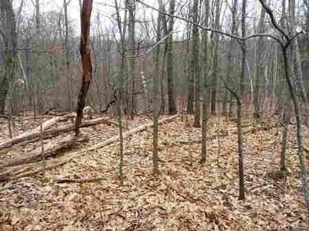 Single Family Bean River Road Dutchess County, NY 12546, MLS-1017861-28