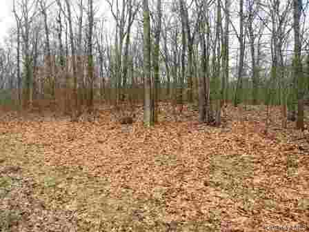 Single Family Bean River Road Dutchess County, NY 12546, MLS-1017861-3