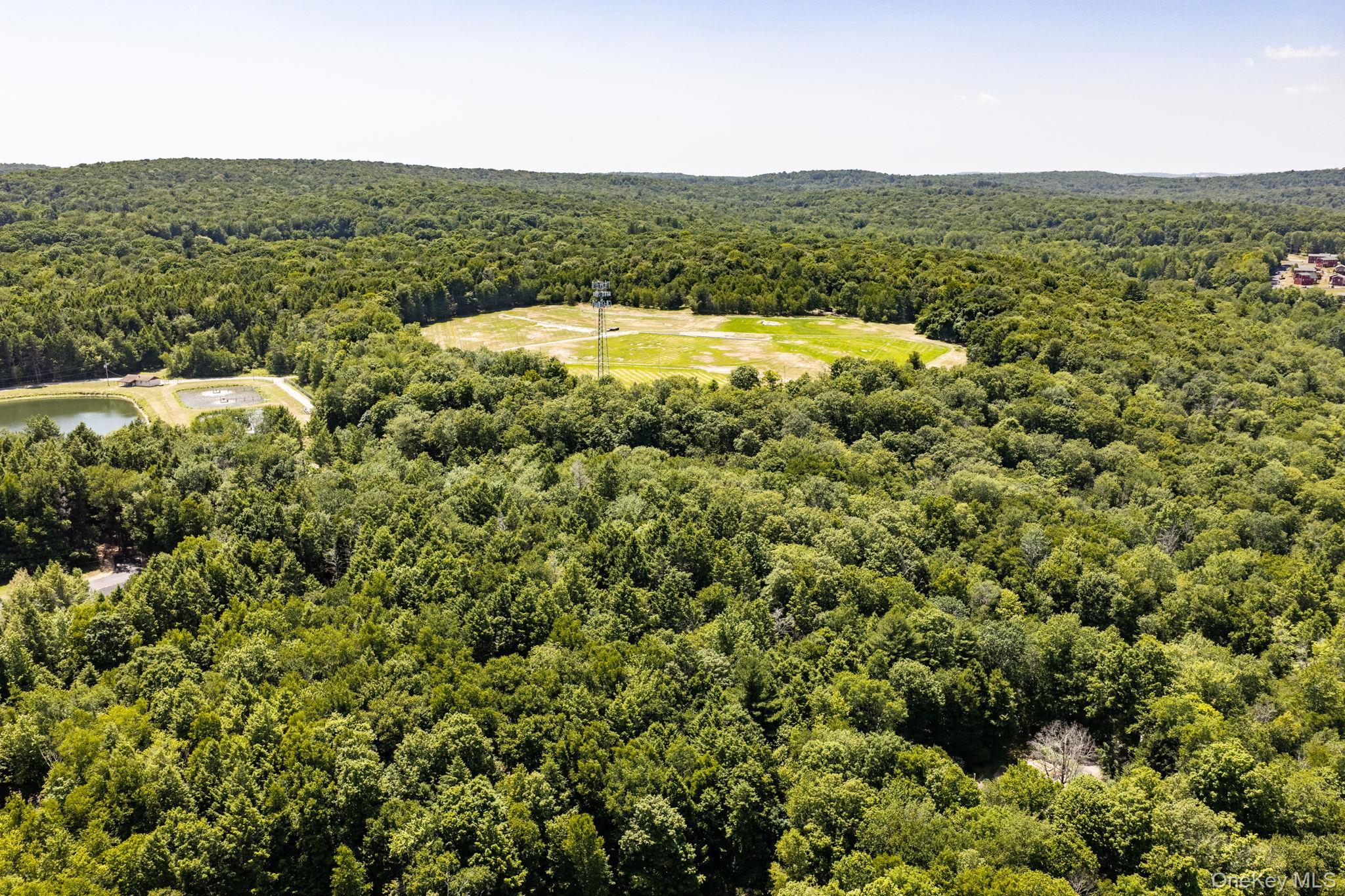 Single Family Church Road  Sullivan County, NY 12763, MLS-1017864-42