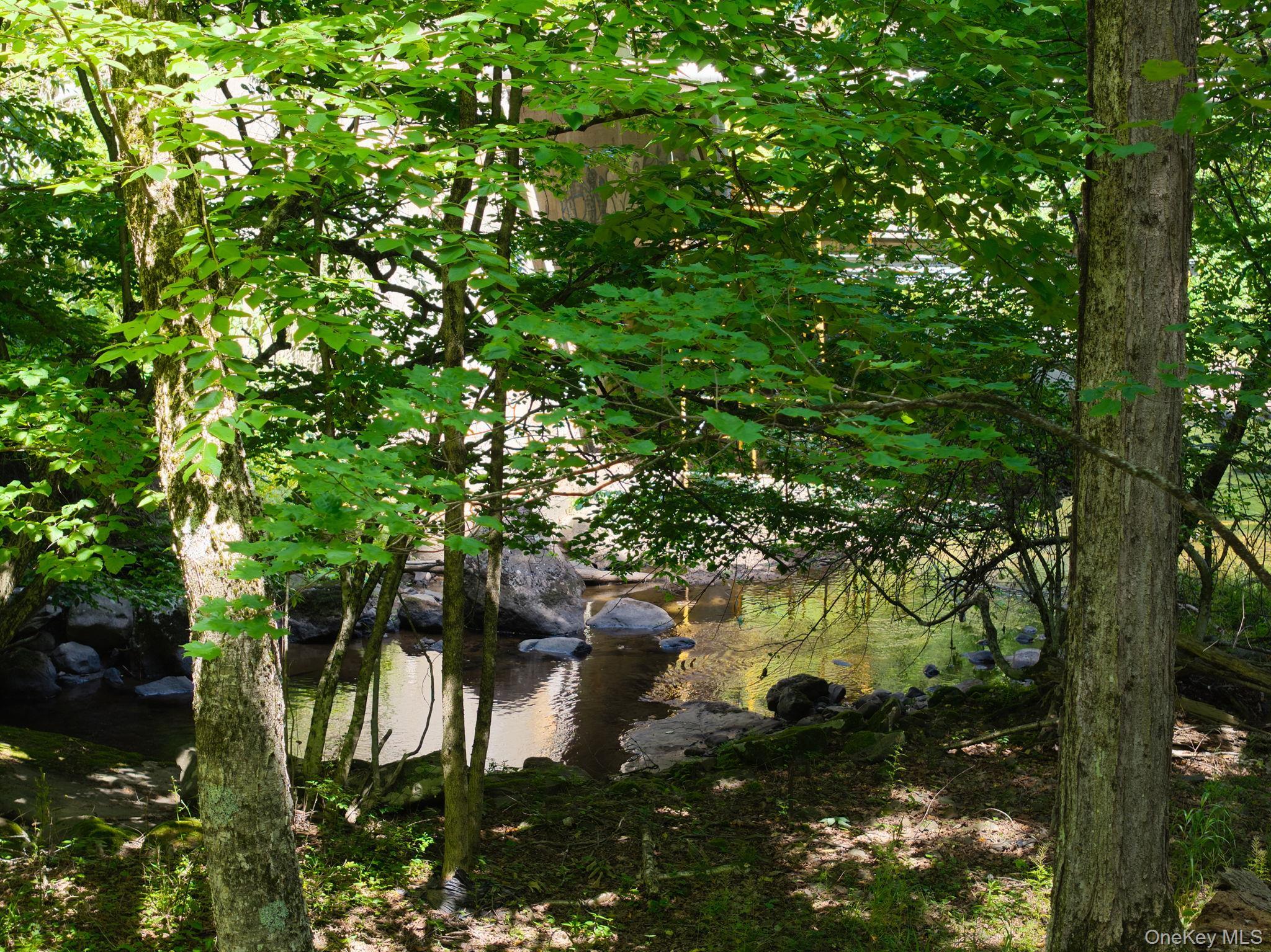 Single Family Church Road  Sullivan County, NY 12763, MLS-1017864-45