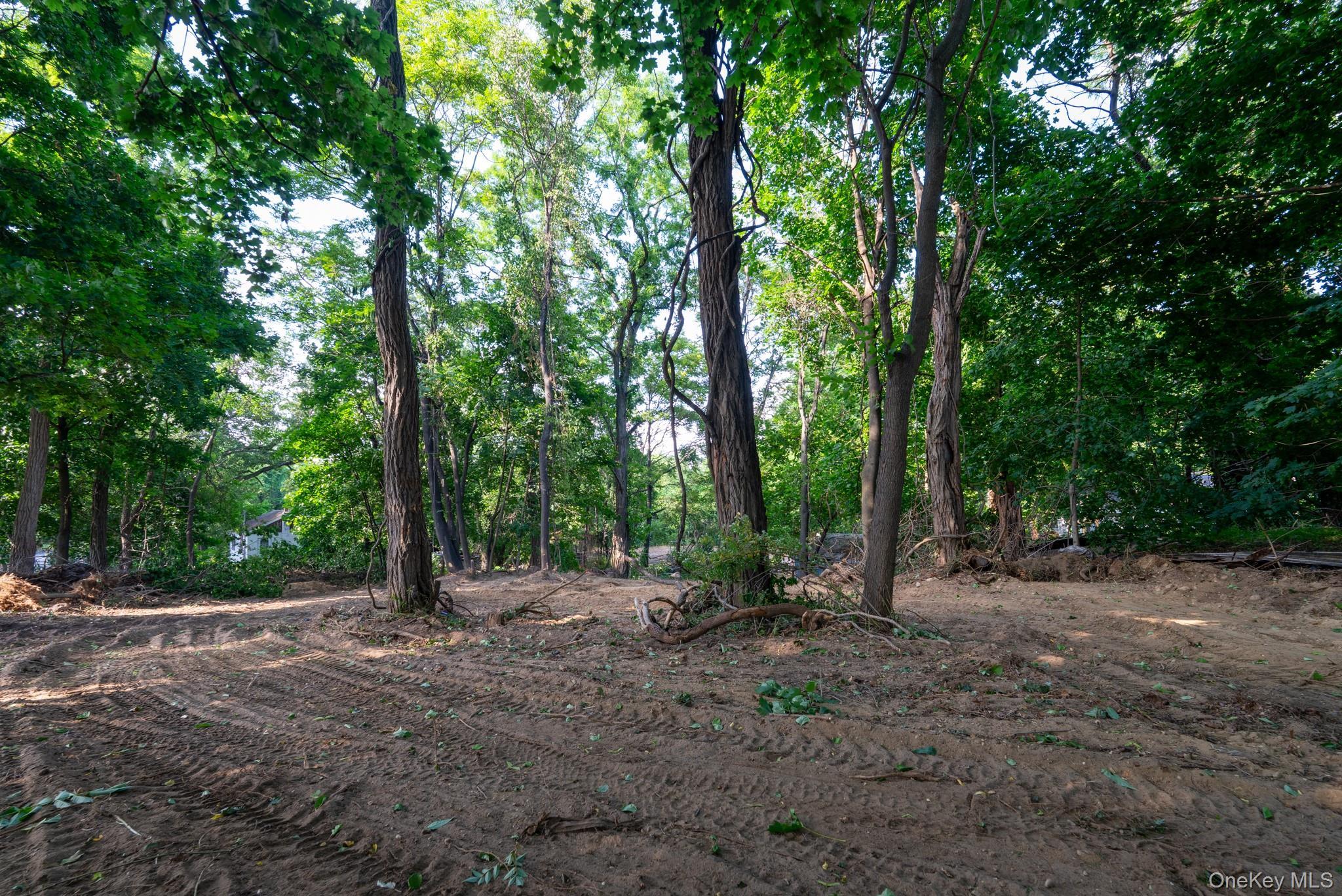 Single Family Smithtown Boulevard  Suffolk County, NY 11767, MLS-1017932-11