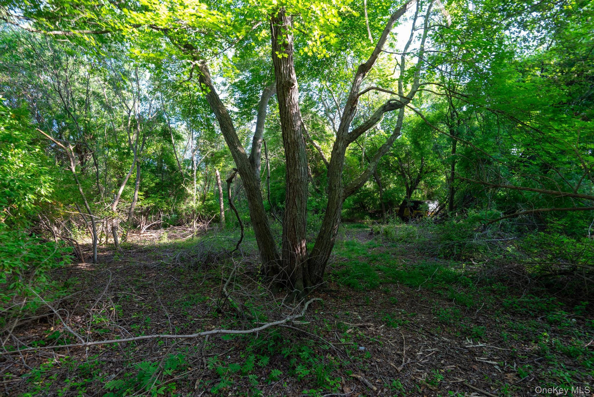 Single Family Smithtown Boulevard  Suffolk County, NY 11767, MLS-1017932-39