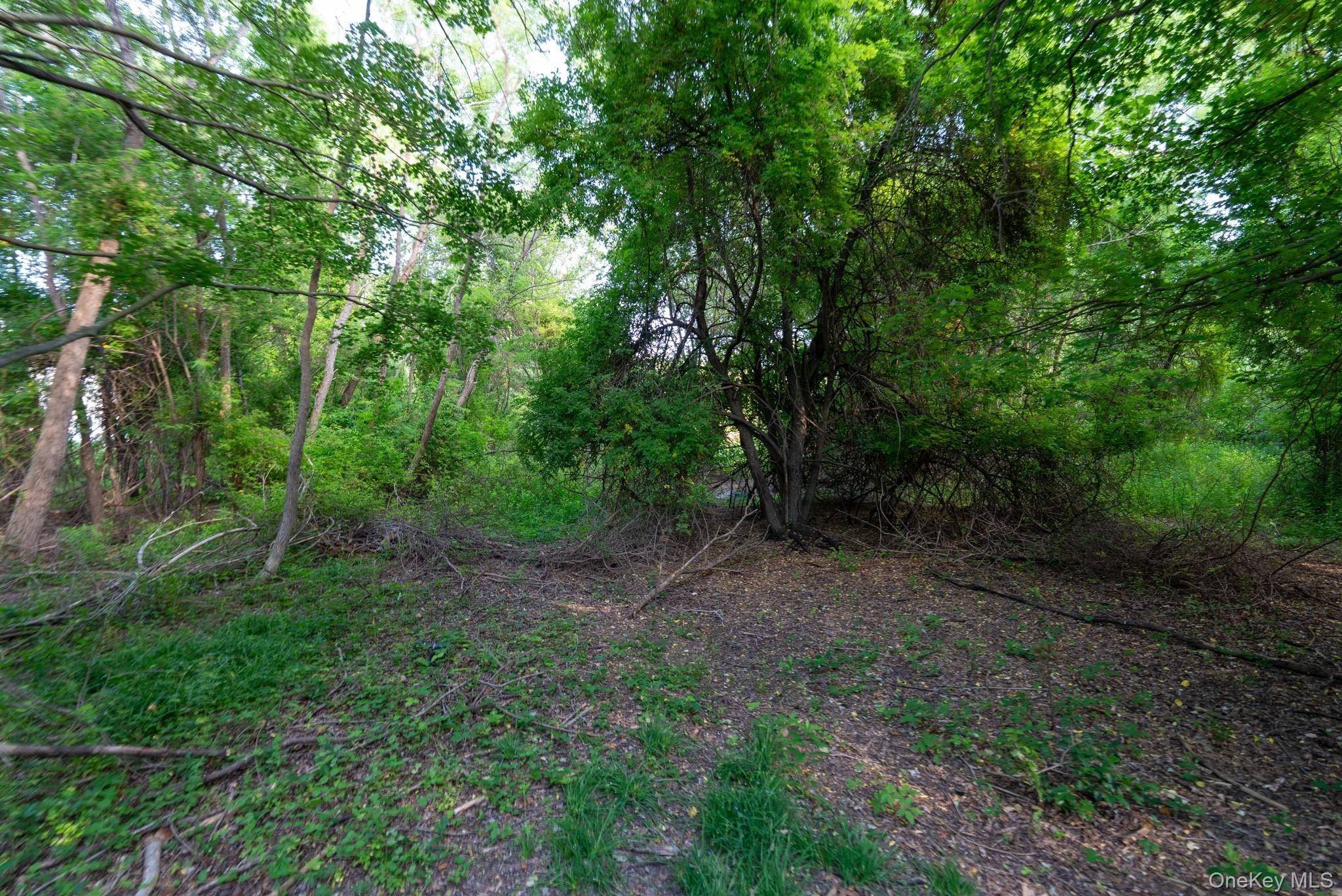 Single Family Smithtown Boulevard  Suffolk County, NY 11767, MLS-1017932-40