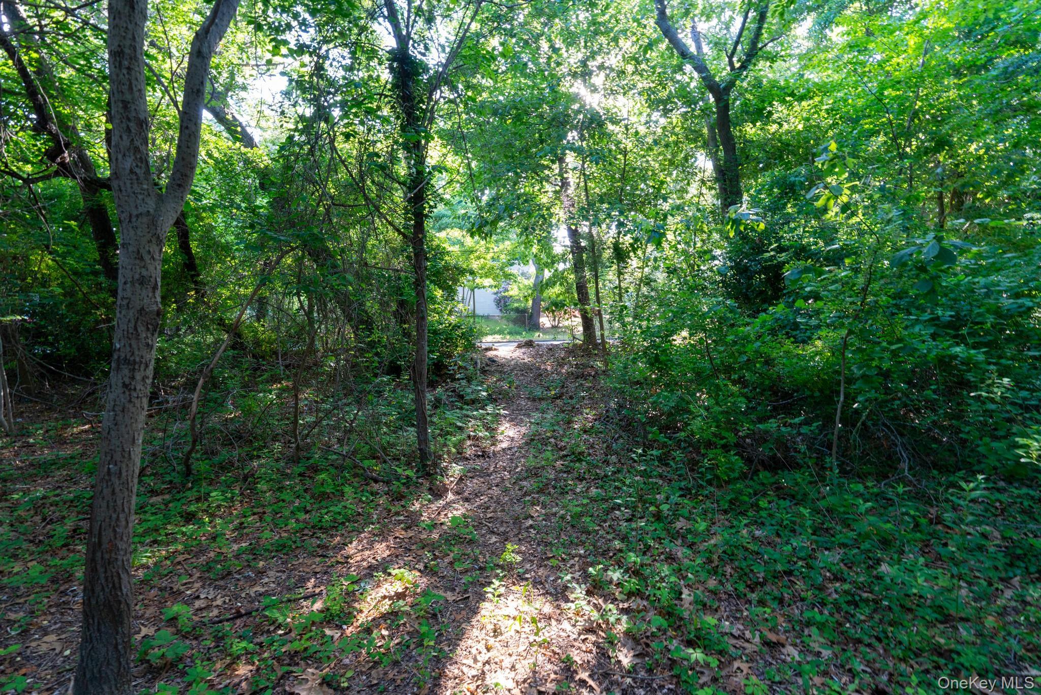 Single Family Smithtown Boulevard  Suffolk County, NY 11767, MLS-1017932-42