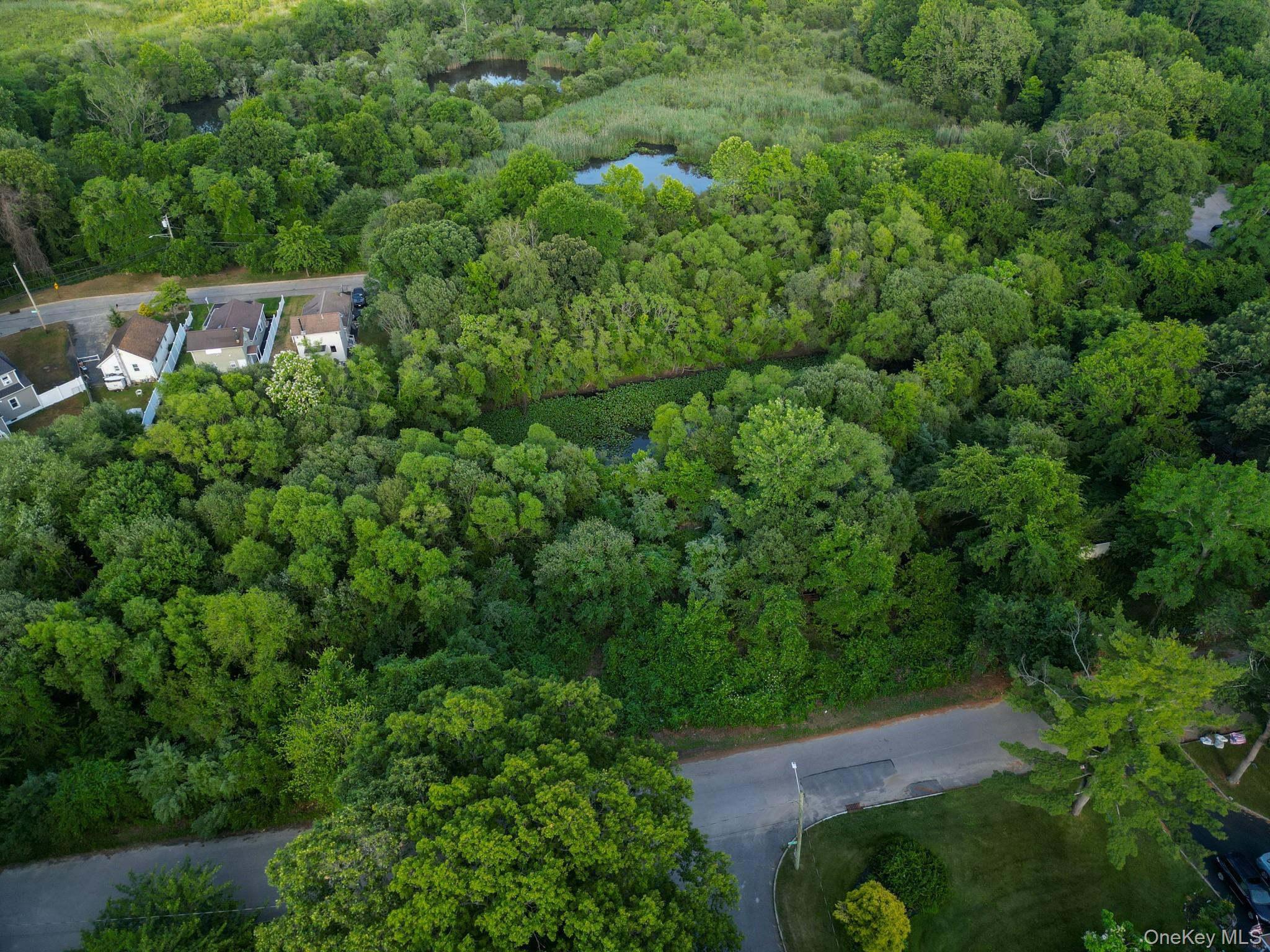 Single Family Smithtown Boulevard  Suffolk County, NY 11767, MLS-1017932-5