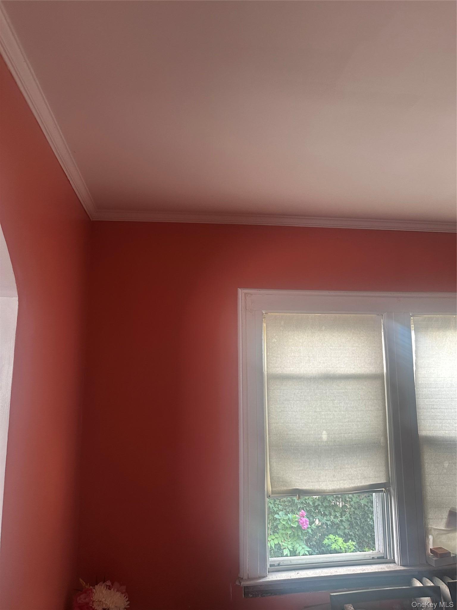 Single Family Robard Lane Queens, NY 11429, MLS-1017948-7