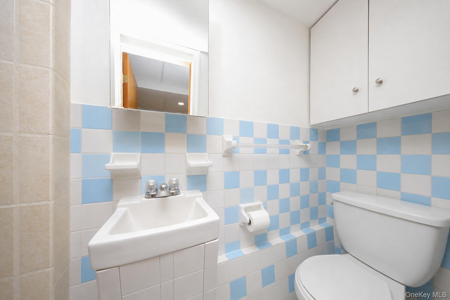 Single Family 70th Street Brooklyn, NY 11228, MLS-1018013-23